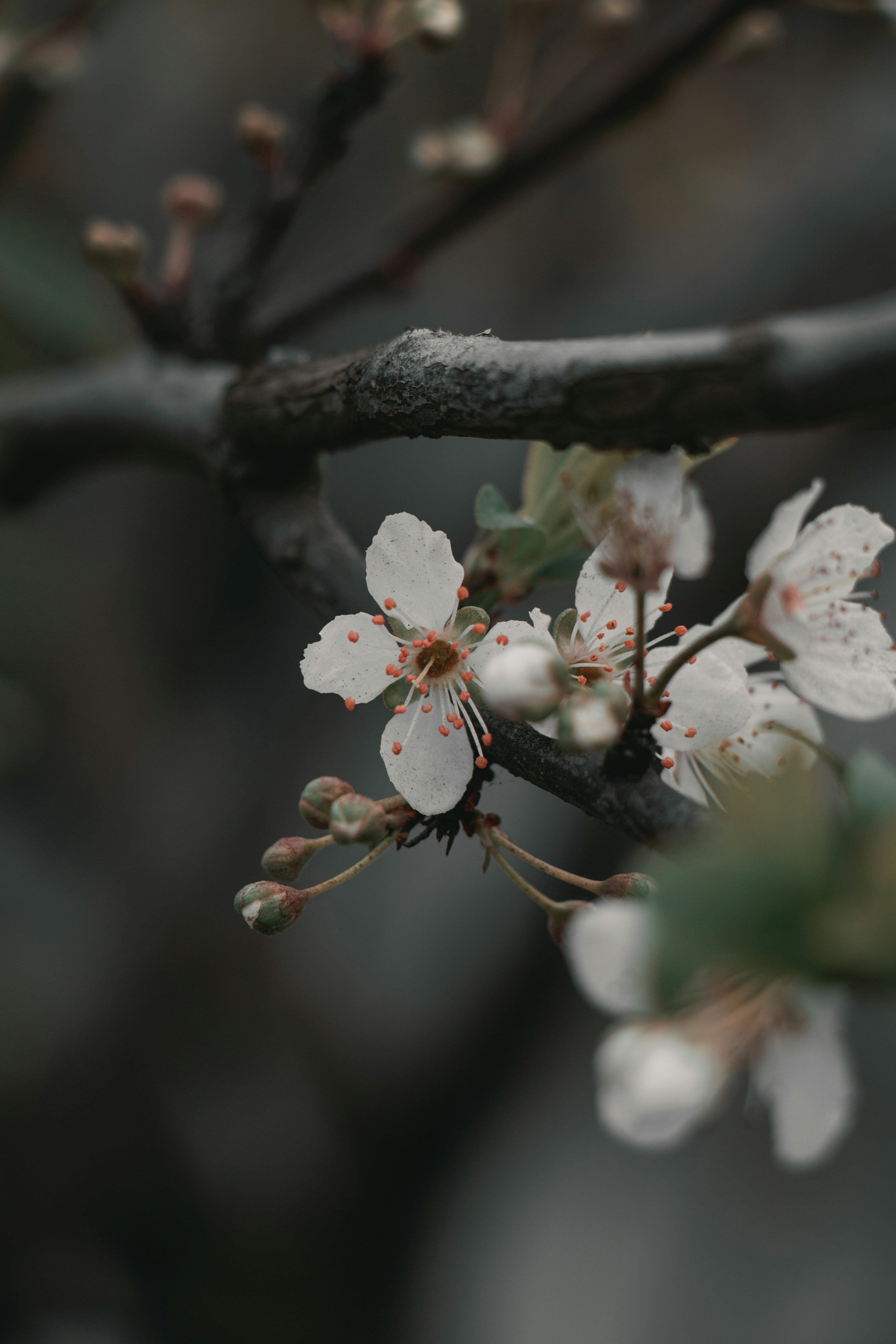 Photo by kouroshmohsenin