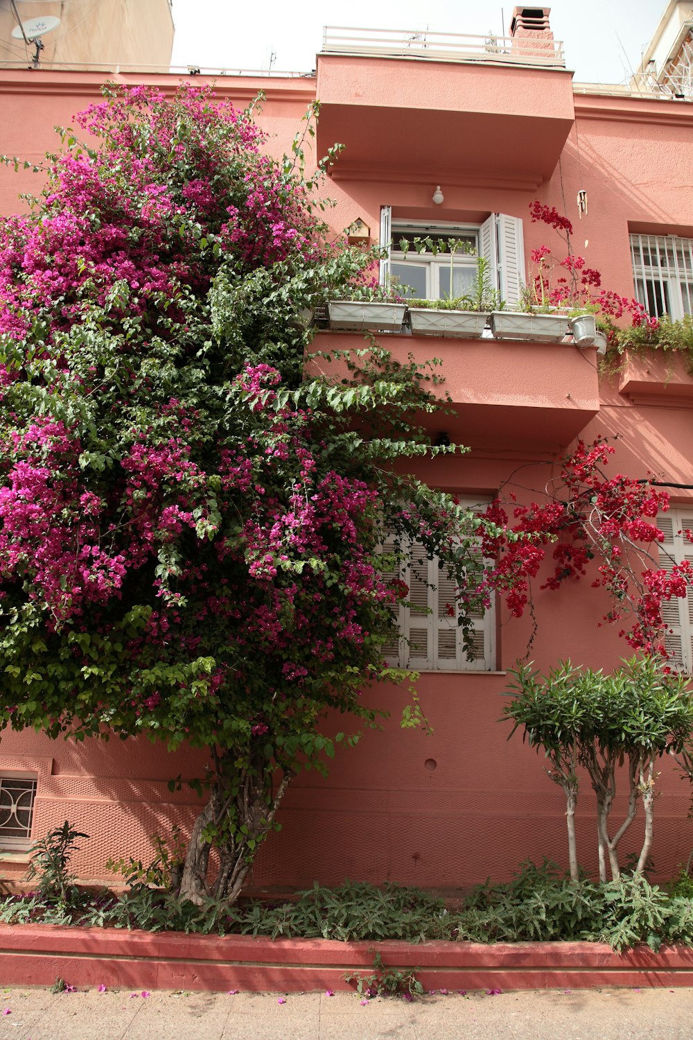 a pink building with pink flowers on it