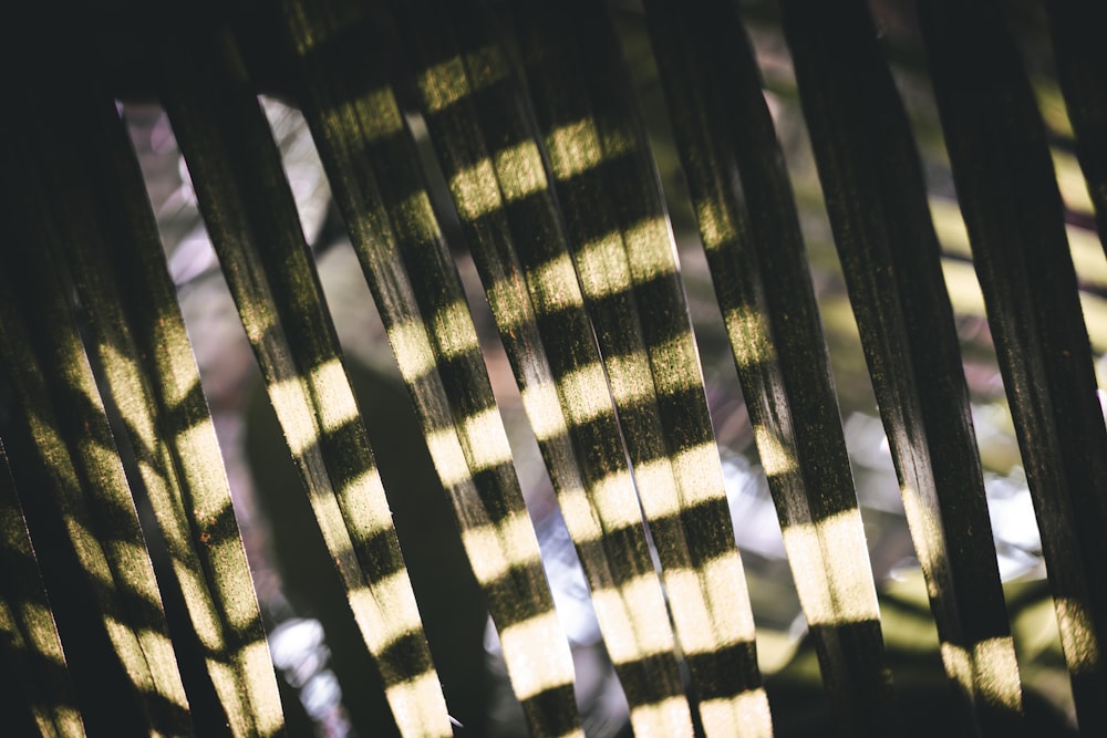 a close up of a wooden slatted fence