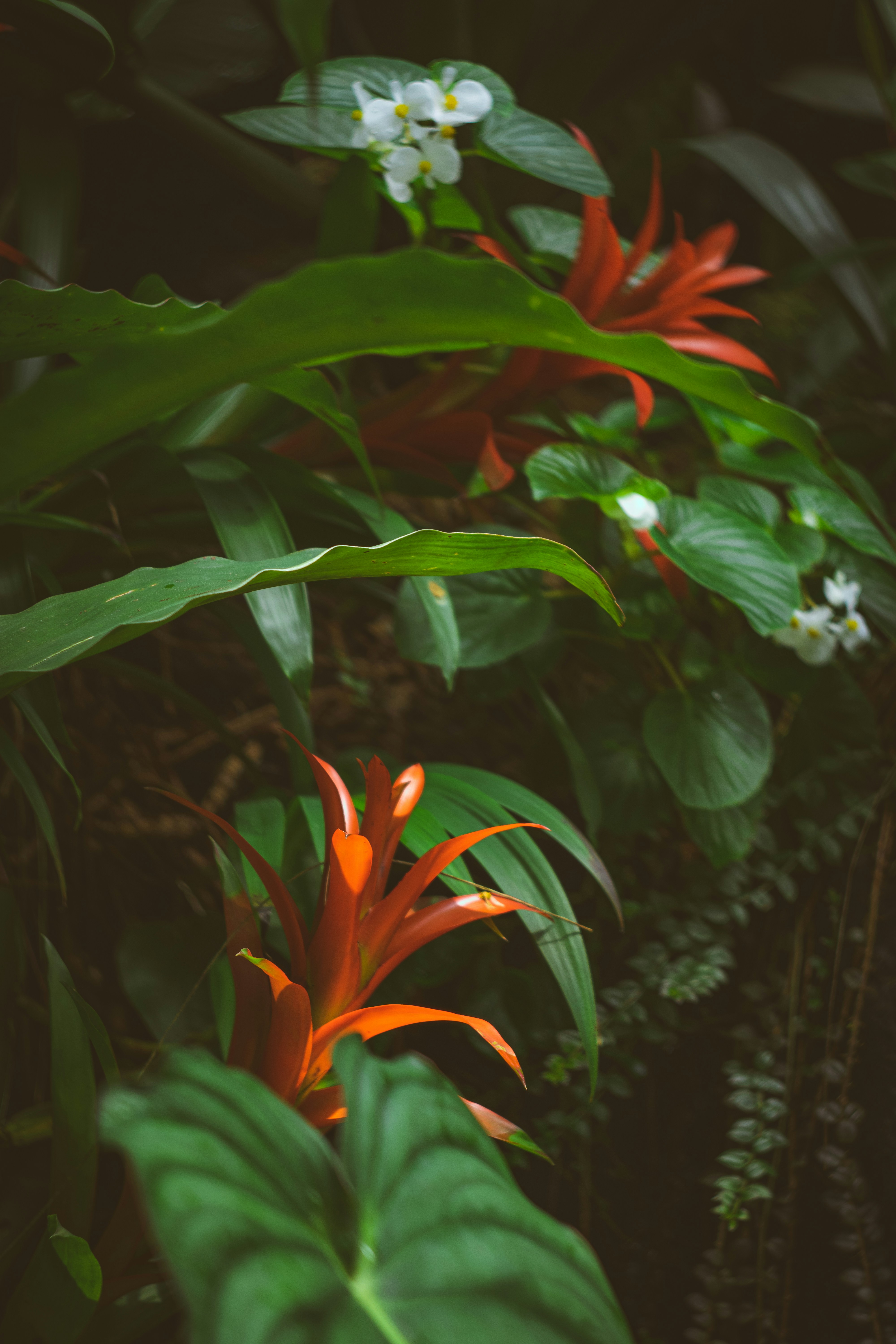 Photo by brice_cooper18