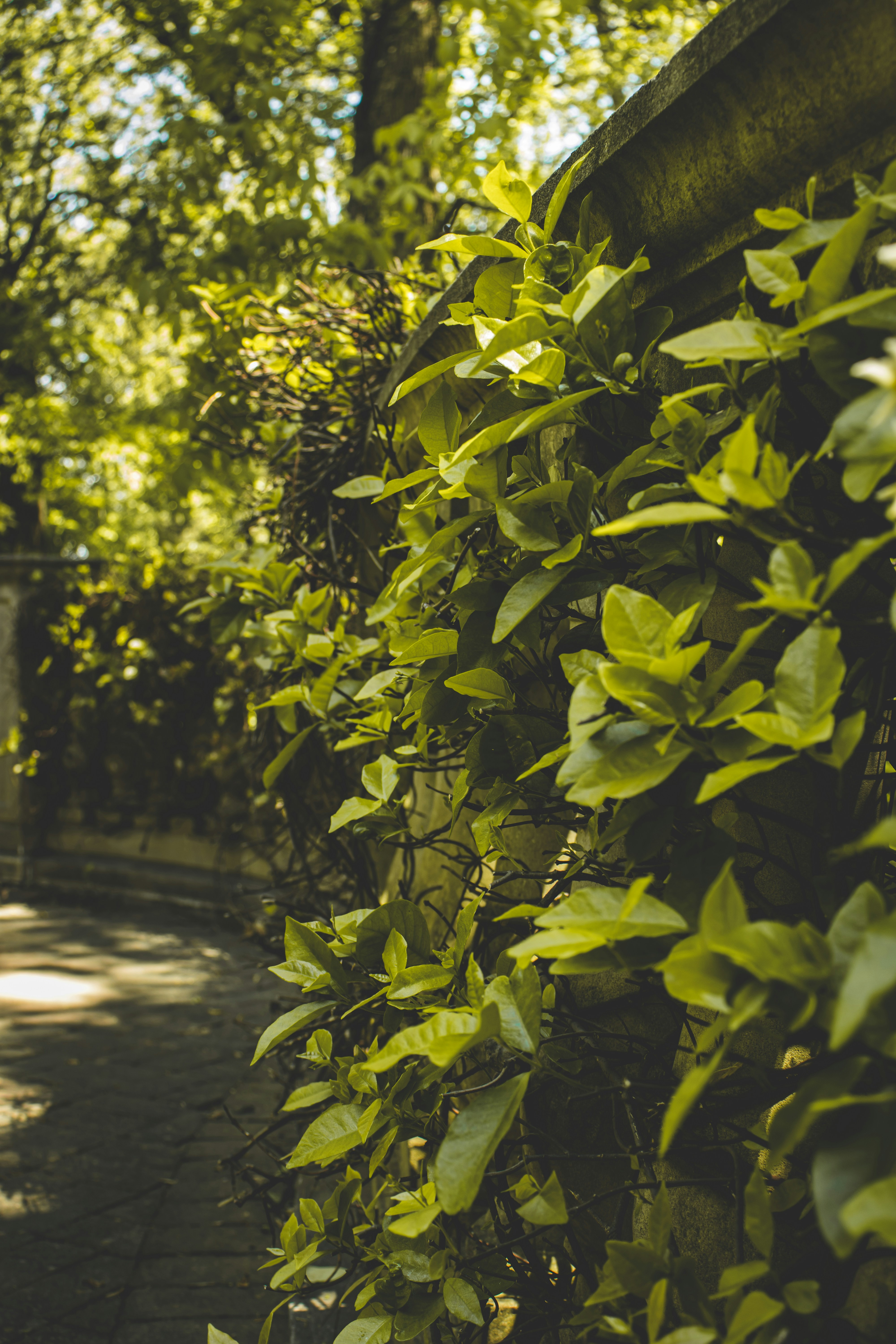 Photo by brice_cooper18