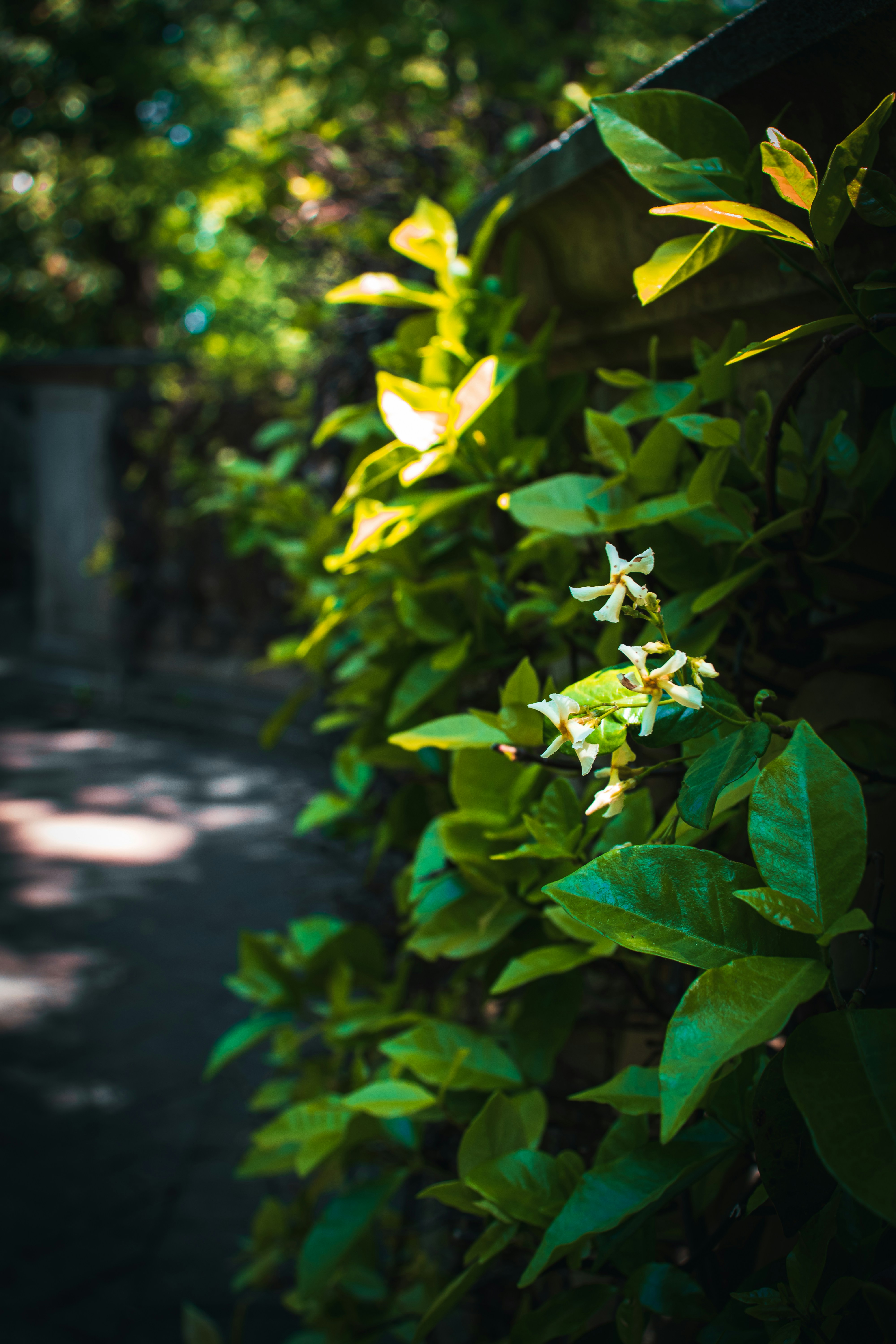 Photo by brice_cooper18