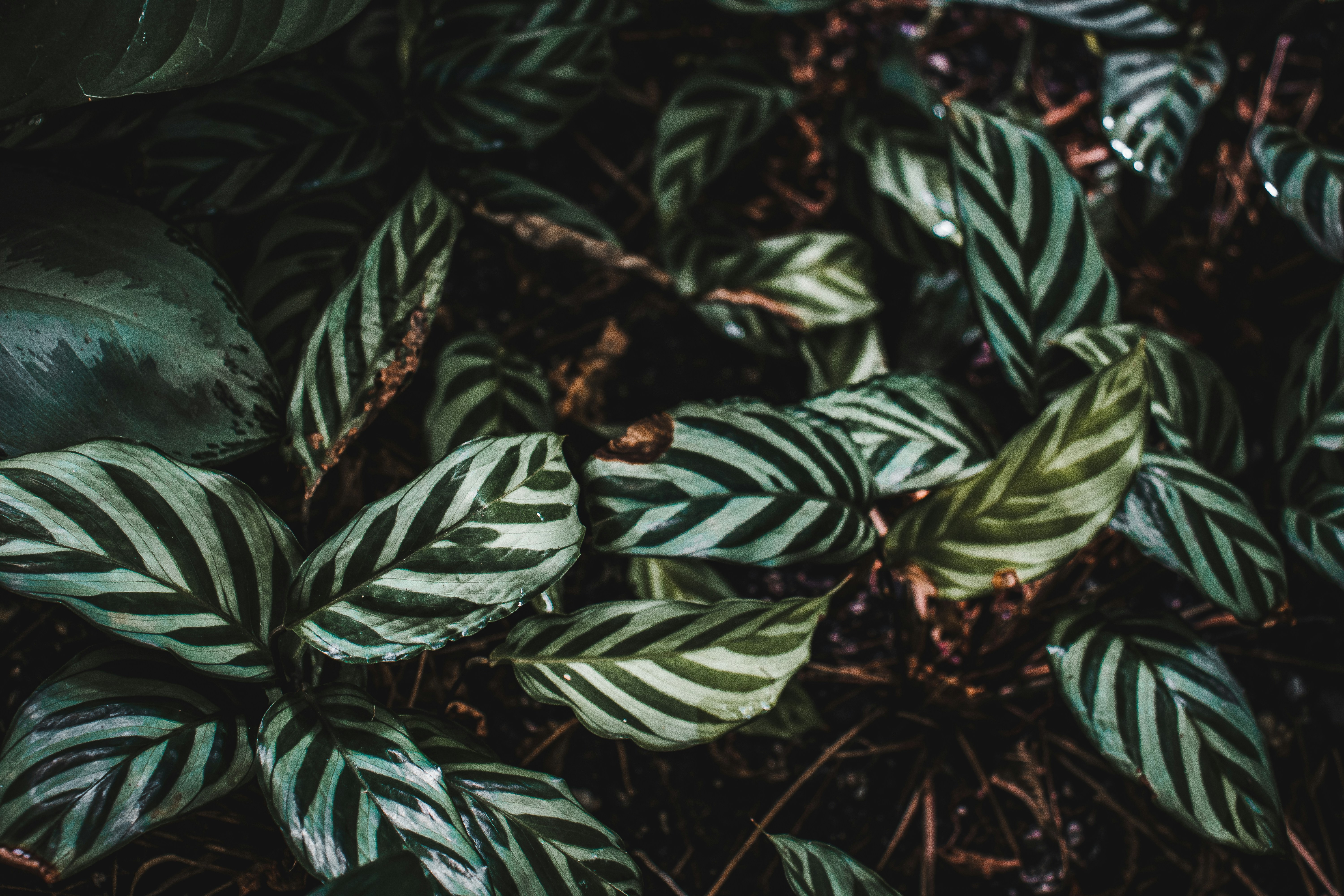 Photo by brice_cooper18