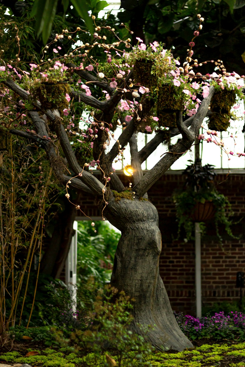 a tree that is in the middle of a garden