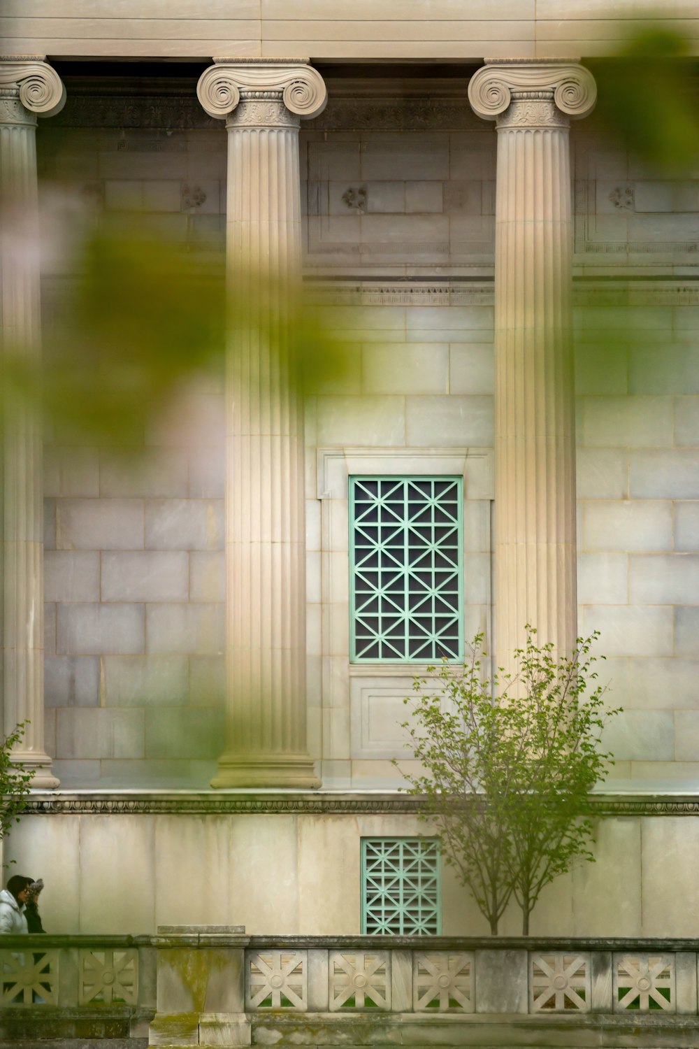 a building with columns and a tree in front of it