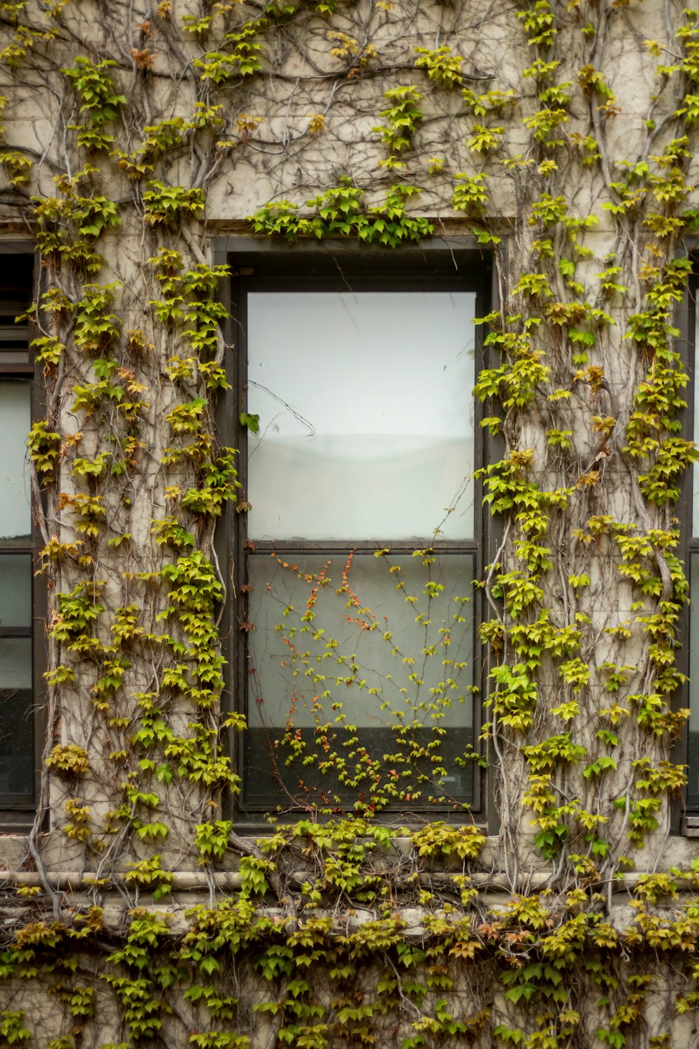 an old building with ivy growing on the side of it