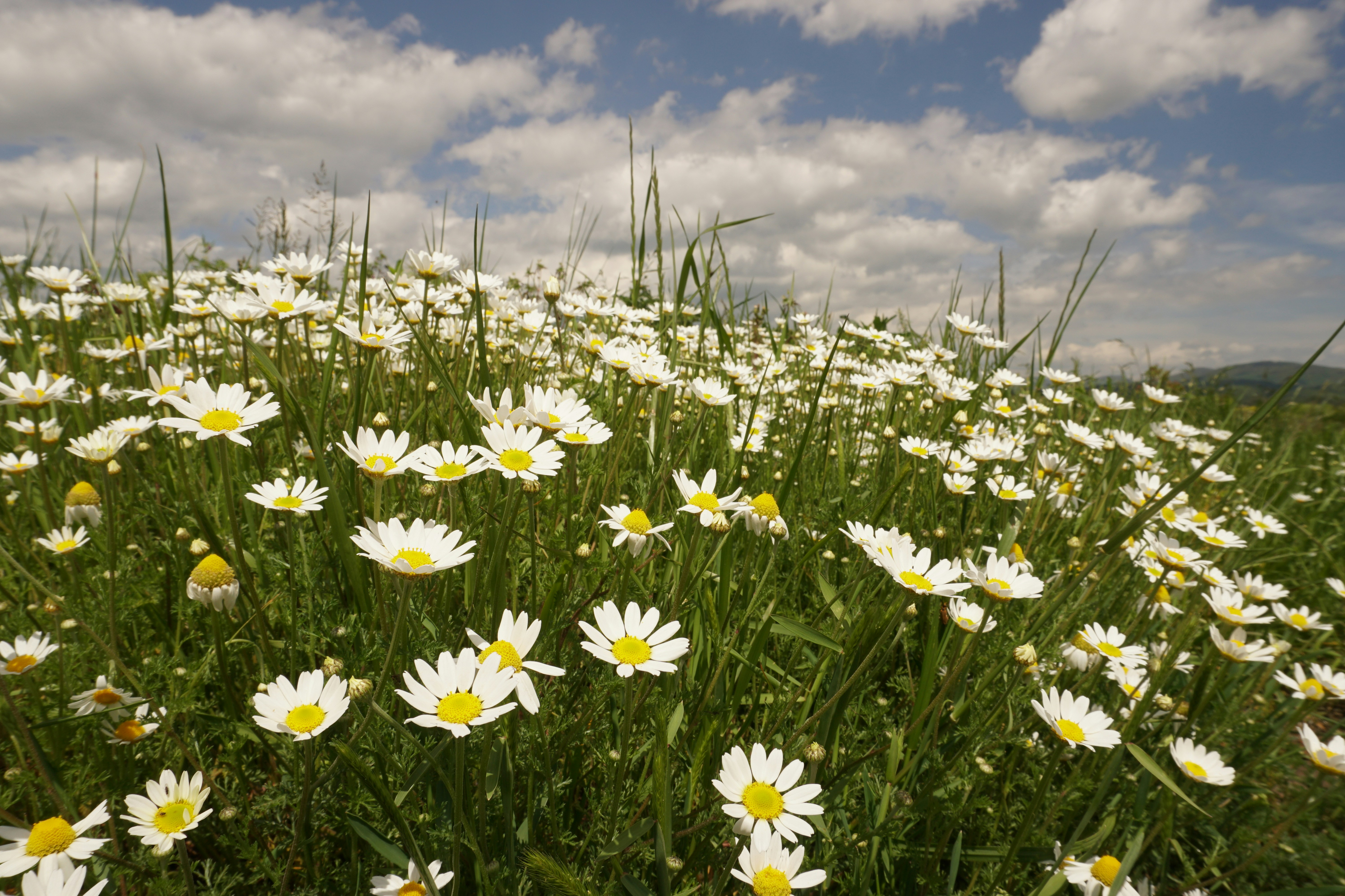 Photo by mike_cifelli