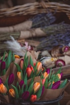 Bouquets of vibrant tulips wrapped in brown paper are placed at the forefront, displaying a blend of purple, orange, and red colors. Behind them, there are bundles of dried lavender and other decorative plants, all set against a rustic wicker basket background.
