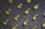 A collection of yellow capsules neatly arranged on a dark, textured surface. Each capsule is oblong and translucent, containing an oily liquid.
