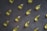A collection of yellow capsules neatly arranged on a dark, textured surface. Each capsule is oblong and translucent, containing an oily liquid.