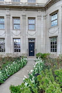 An elegant building façade featuring a dark door framed by classical architectural details, with tall windows above and on either side. A path lined with blooming white flowers and green shrubs leads to the entrance, creating a welcoming atmosphere.