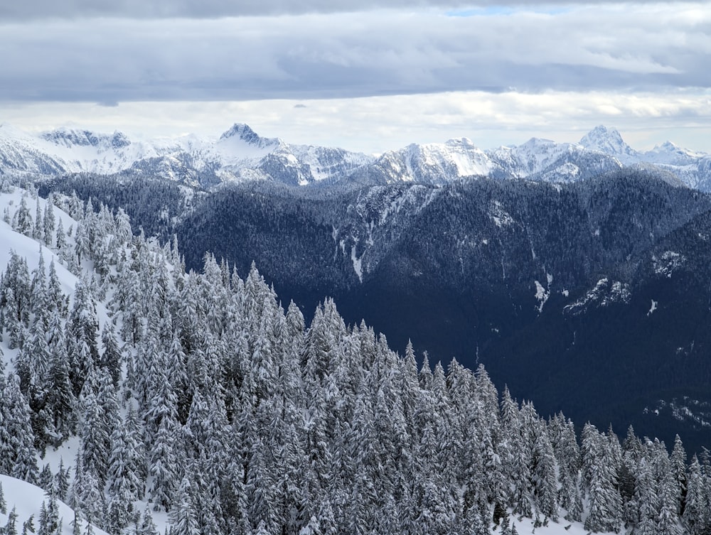 a view of a mountain range covered in snow