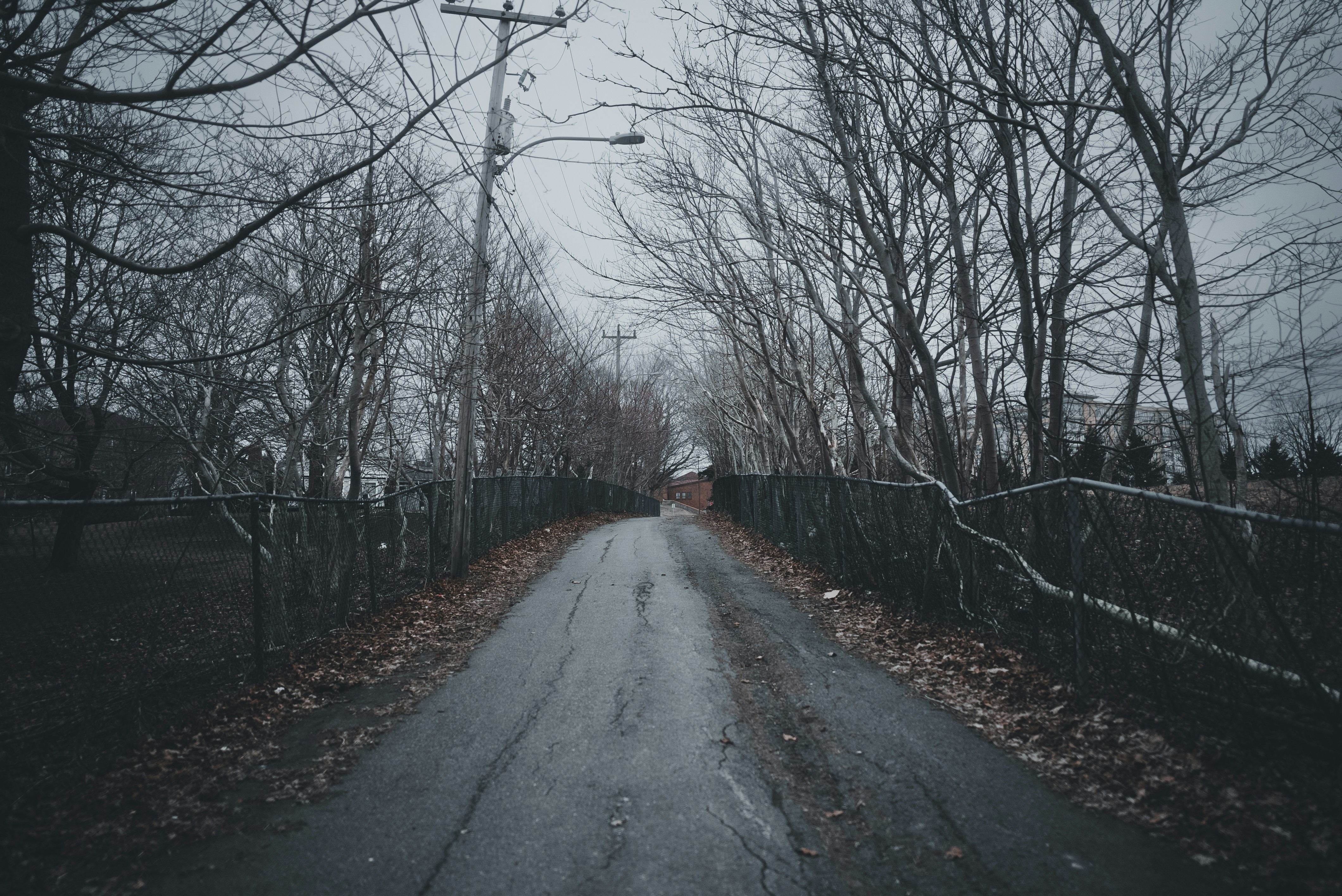 Photo by introspectivedsgn