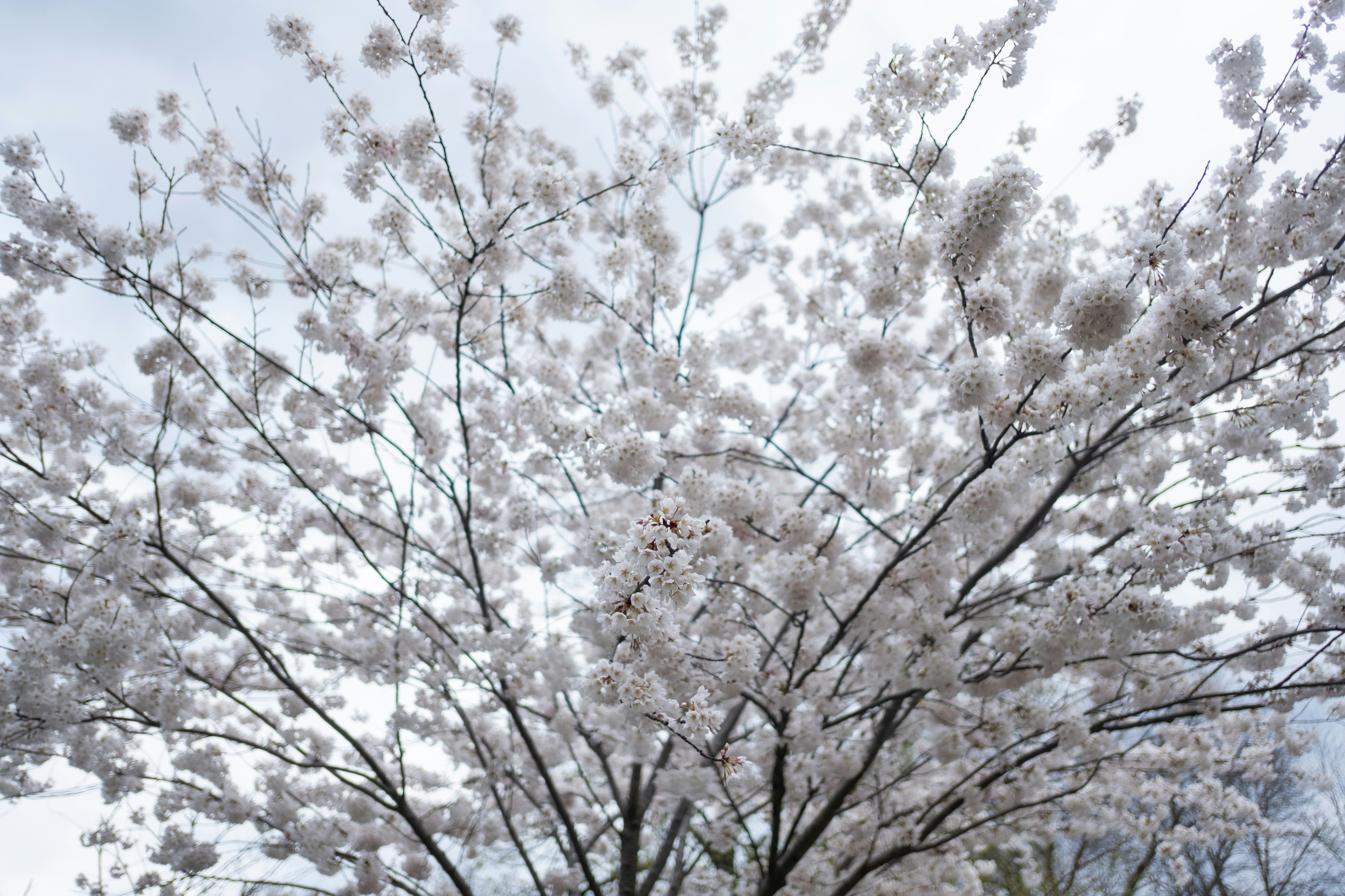 Photo by correliebre