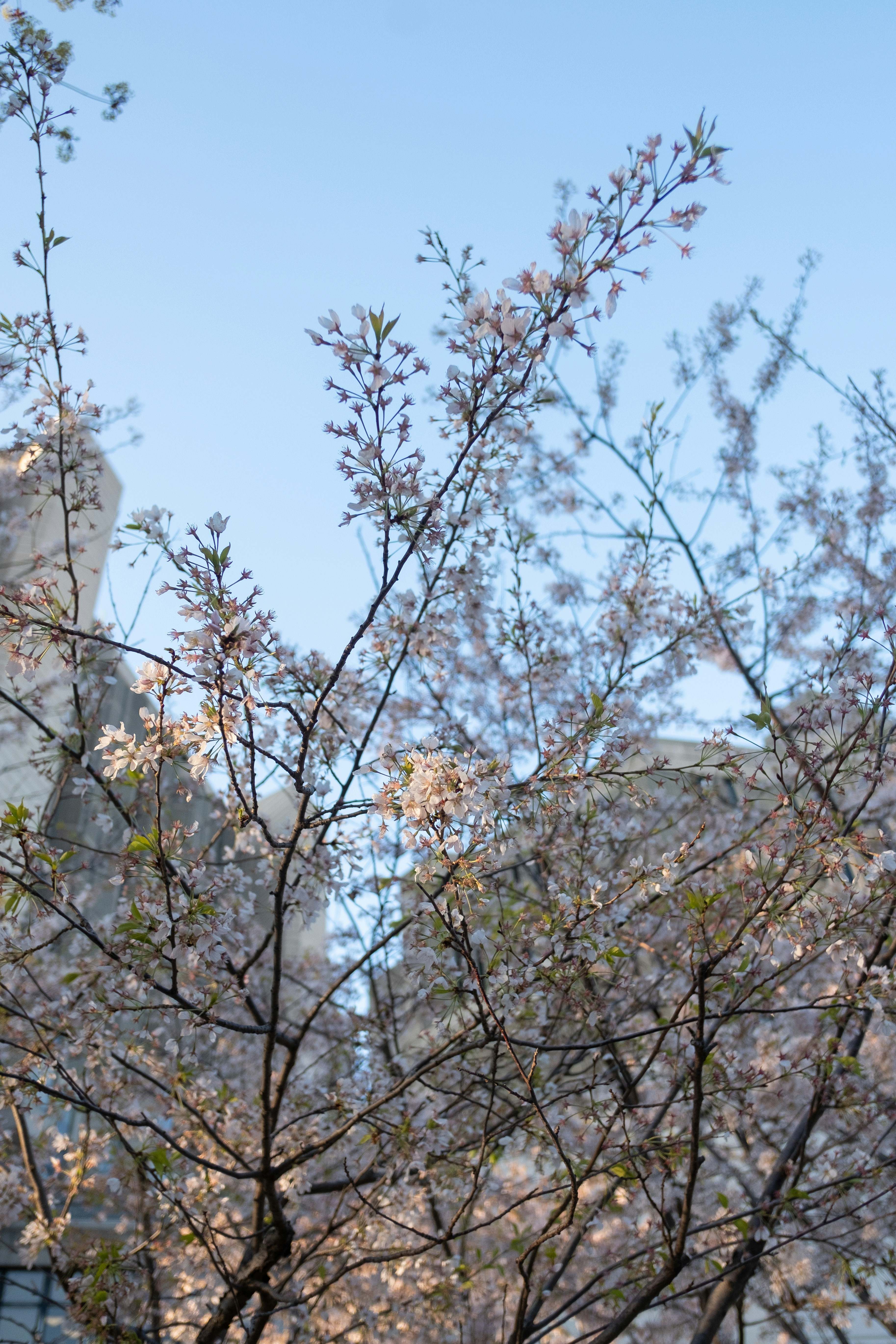 Photo by correliebre