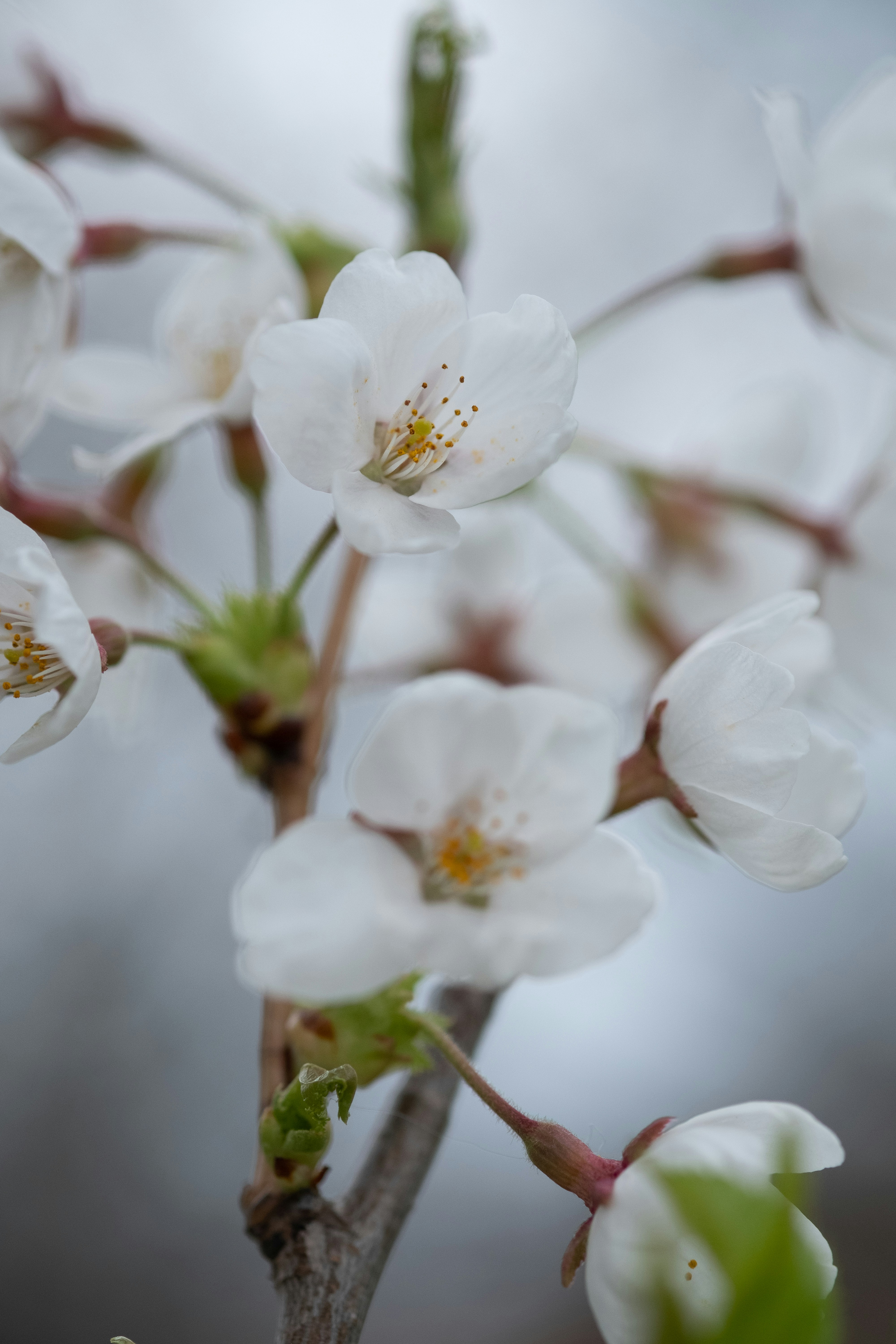 Photo by correliebre