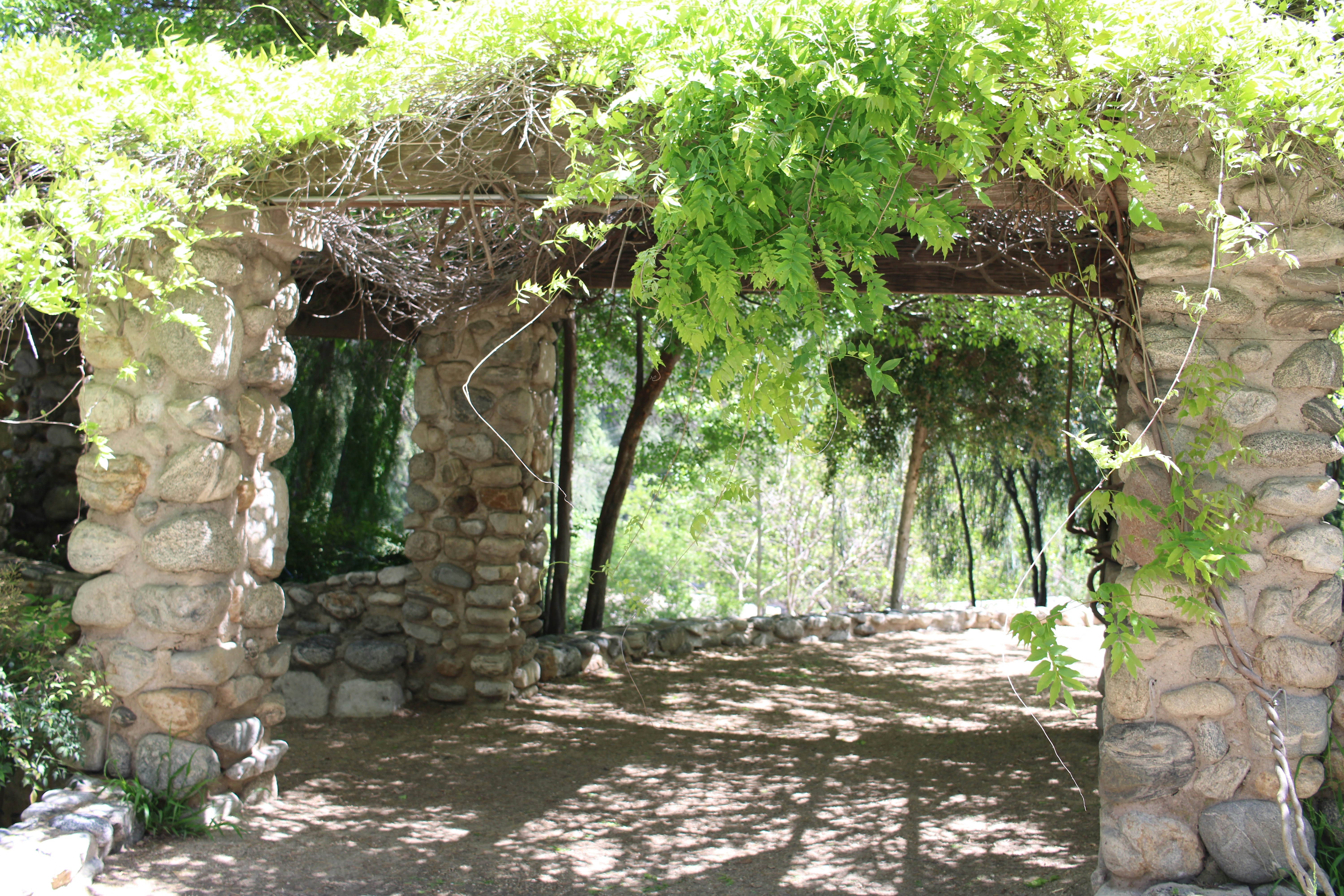 Beautiful custom pergola structure in a landscaped backyard providing shade and outdoor living space