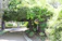 A serene modern garden with lush greenery and natural stone pathways under soft sunlight.