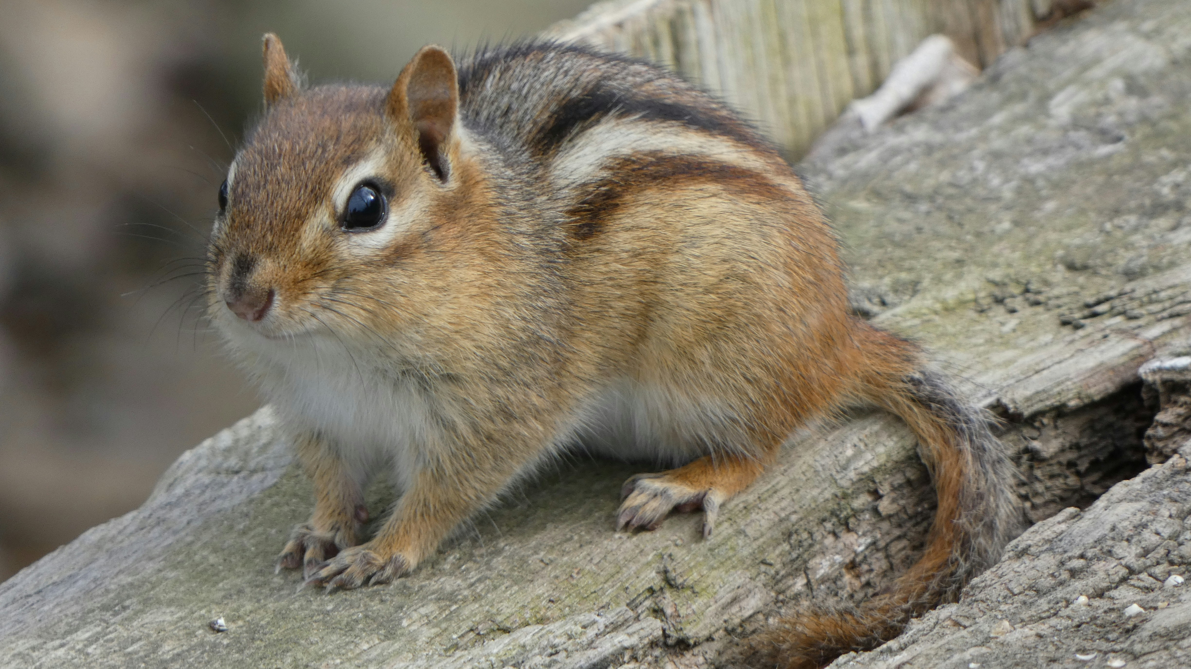 Photo by kimberlymeans