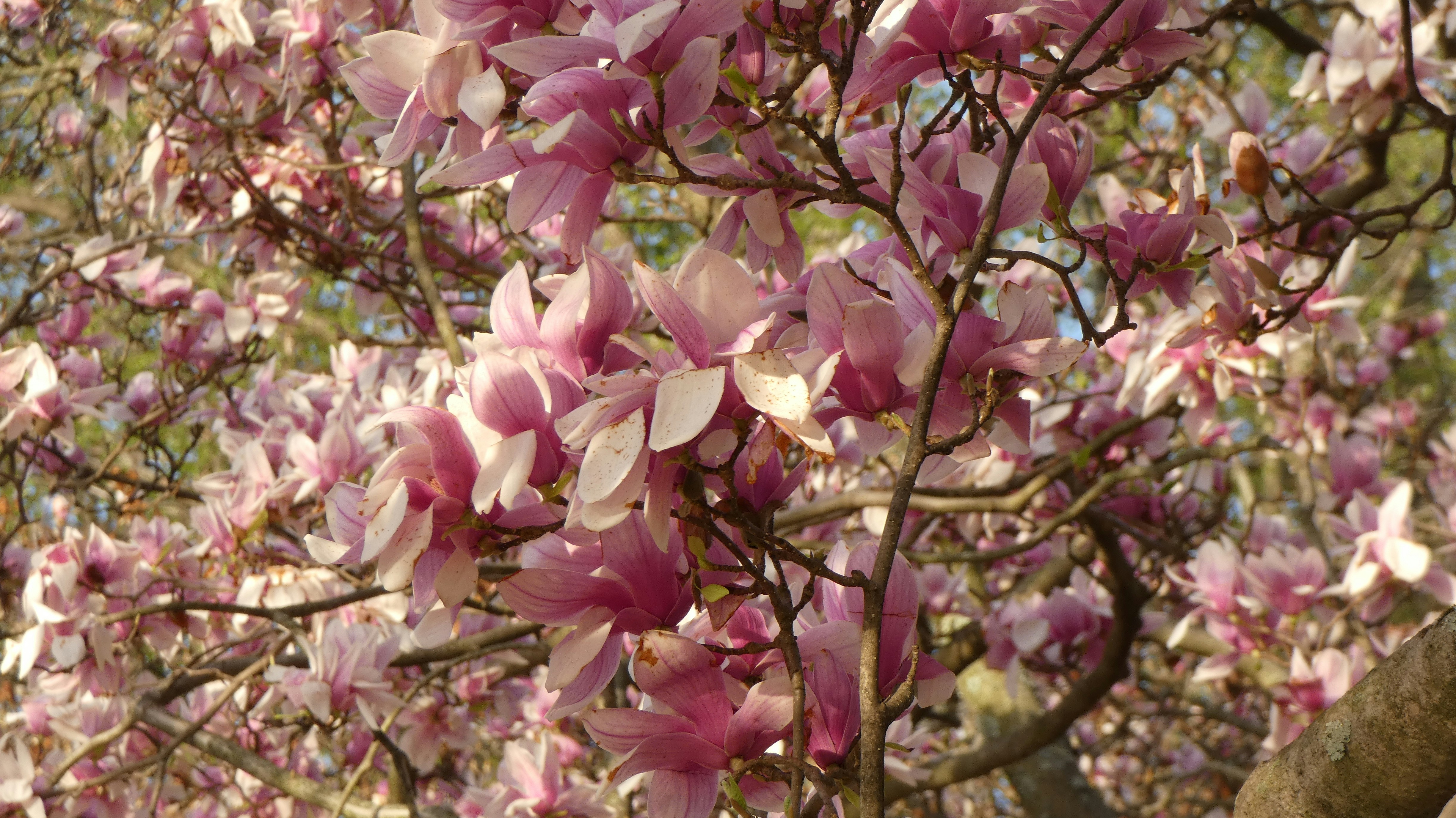 Photo by kimberlymeans