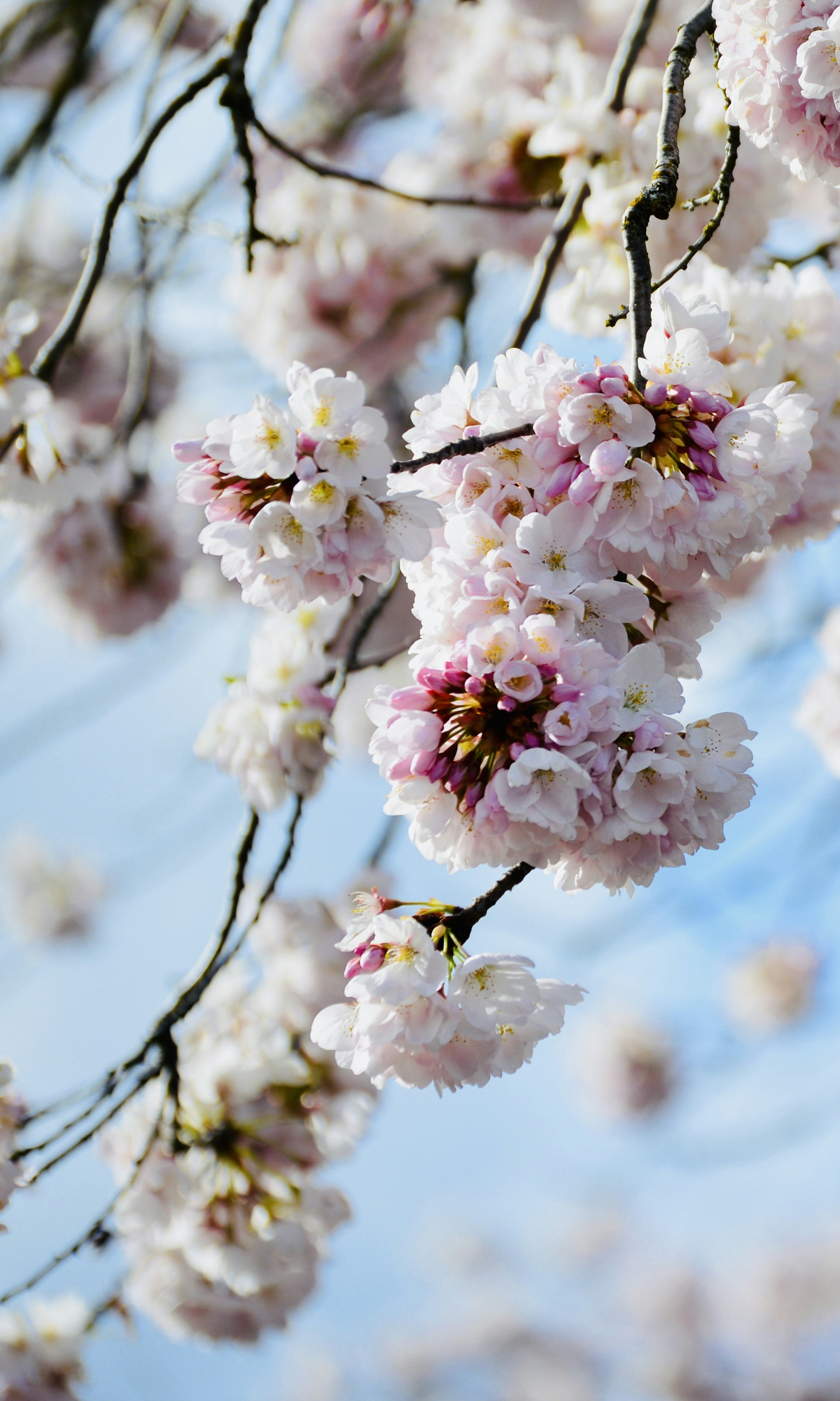 Photo by jain_abhishek