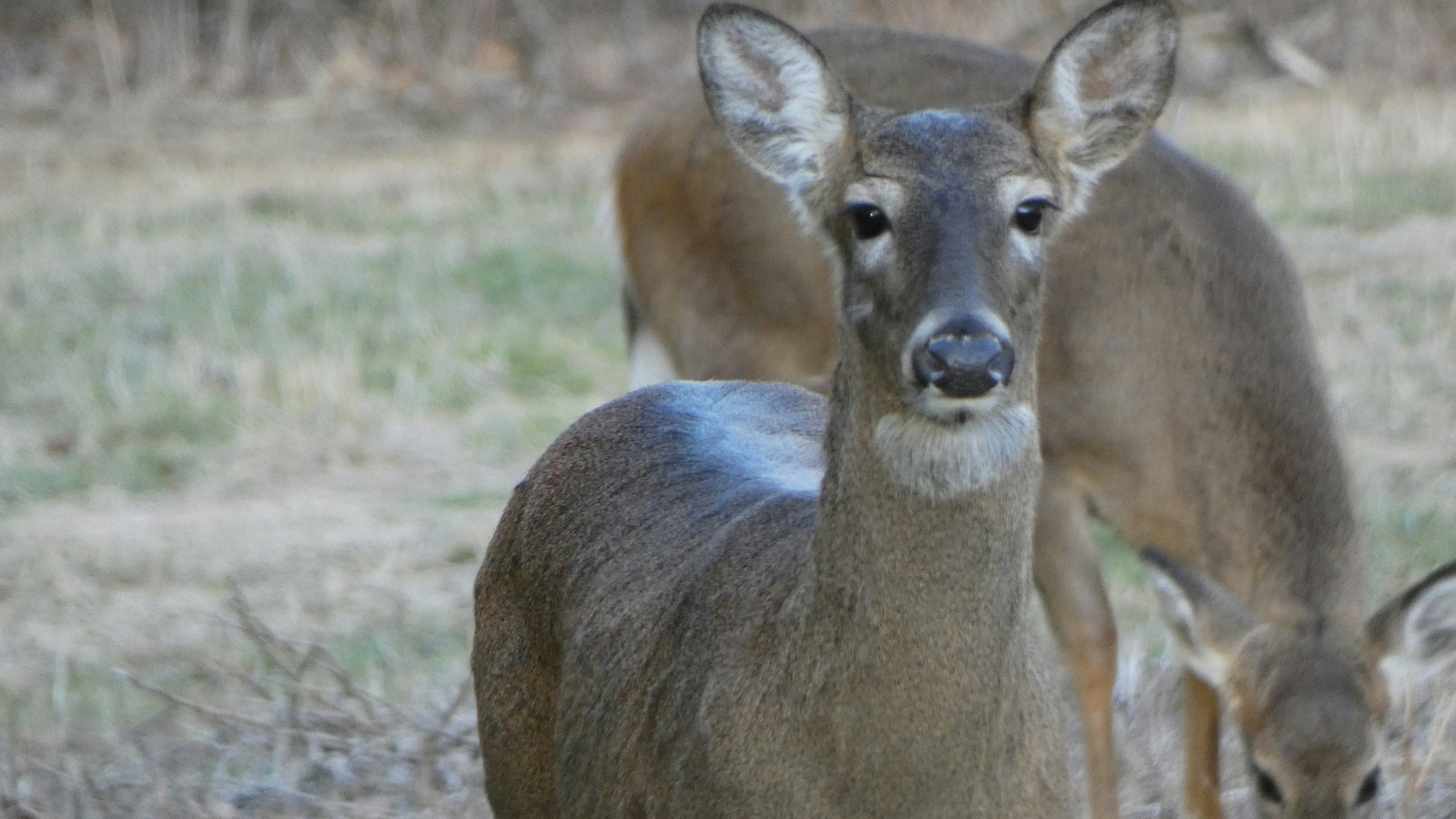 Photo by kimberlymeans