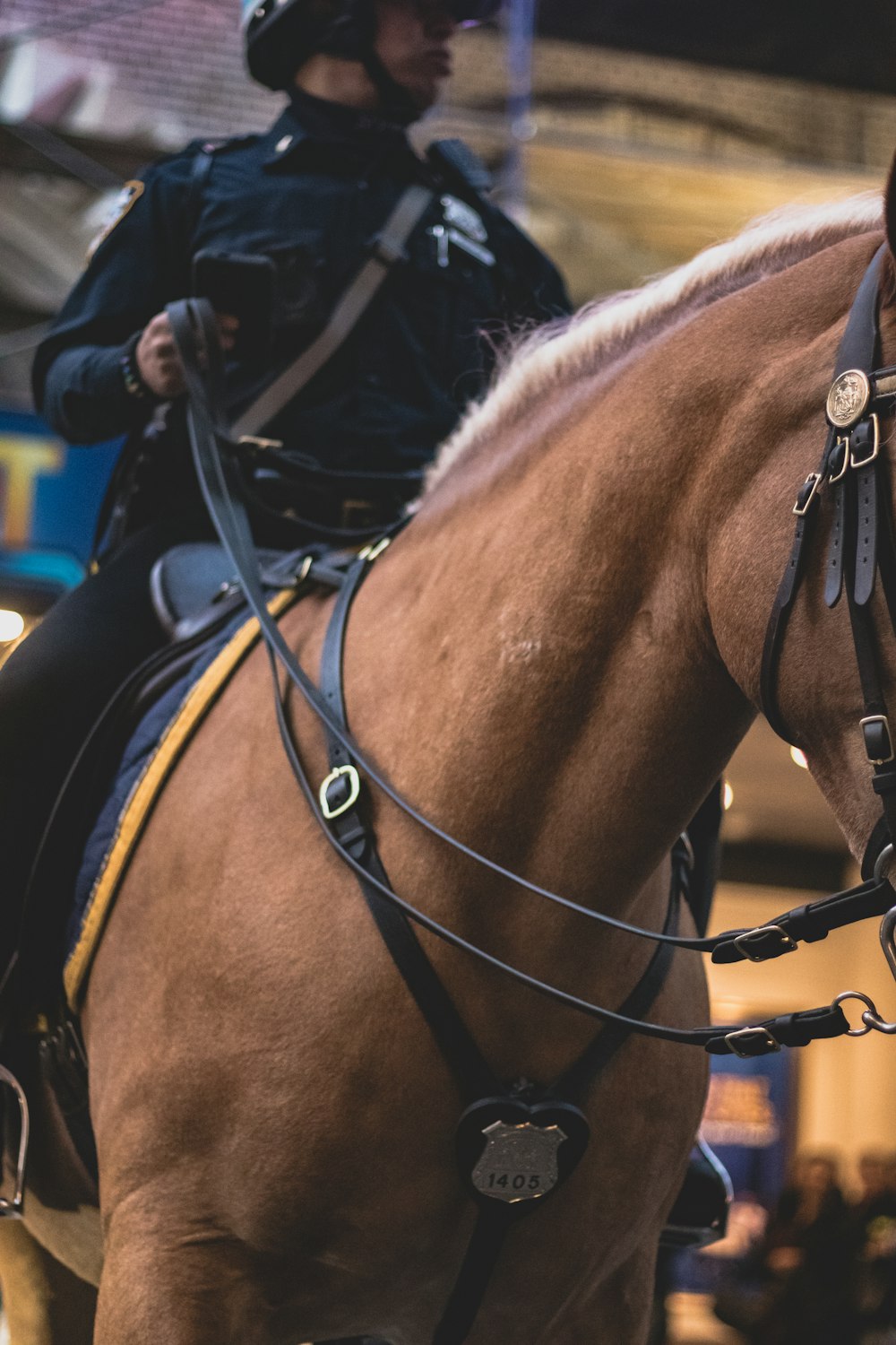 a police officer riding on the back of a brown horse