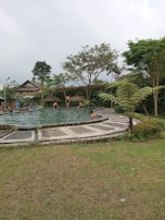 A serene swimming pool surrounded by lush greenery in a gated community.