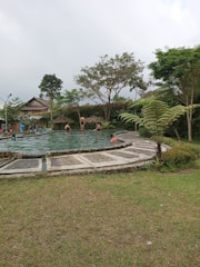 A serene custom-built natural swimming pond surrounded by lush wooden garden structures.
