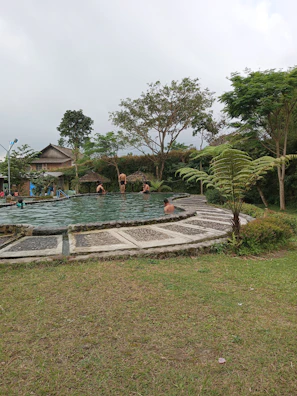 Guests enjoying a refreshing swim in the outdoor pool surrounded by lush greenery.