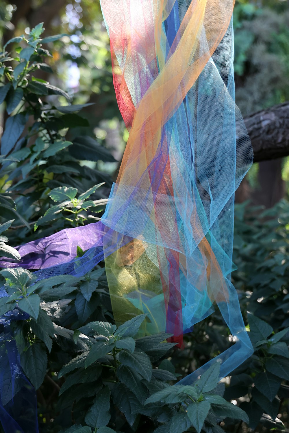 a colorful scarf hanging from a tree branch