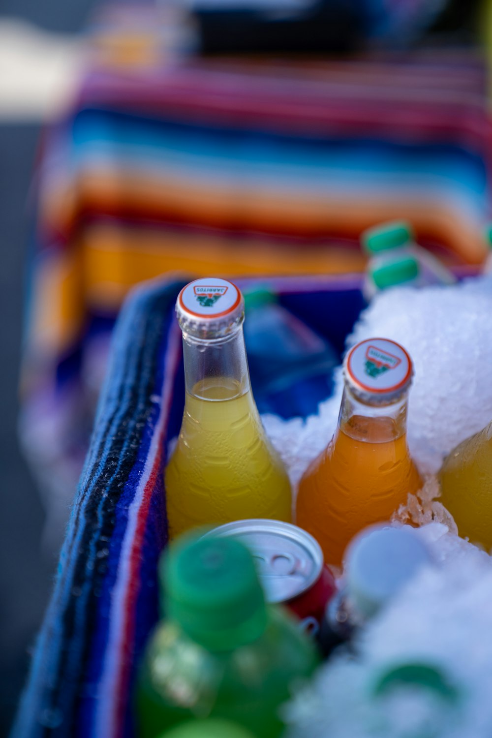 a close up of bottles of soda in a cooler