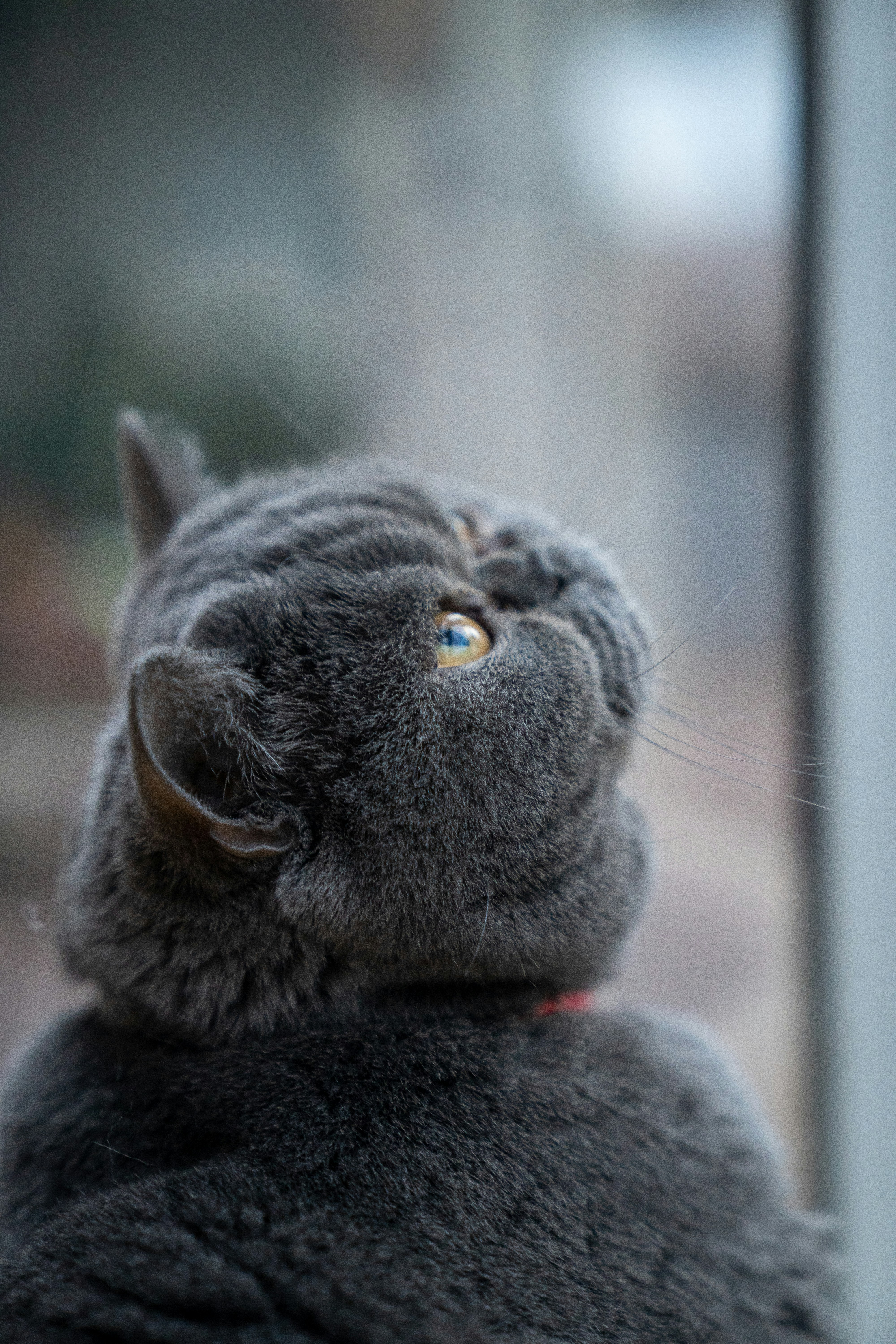 Photo by charlesshaffer17