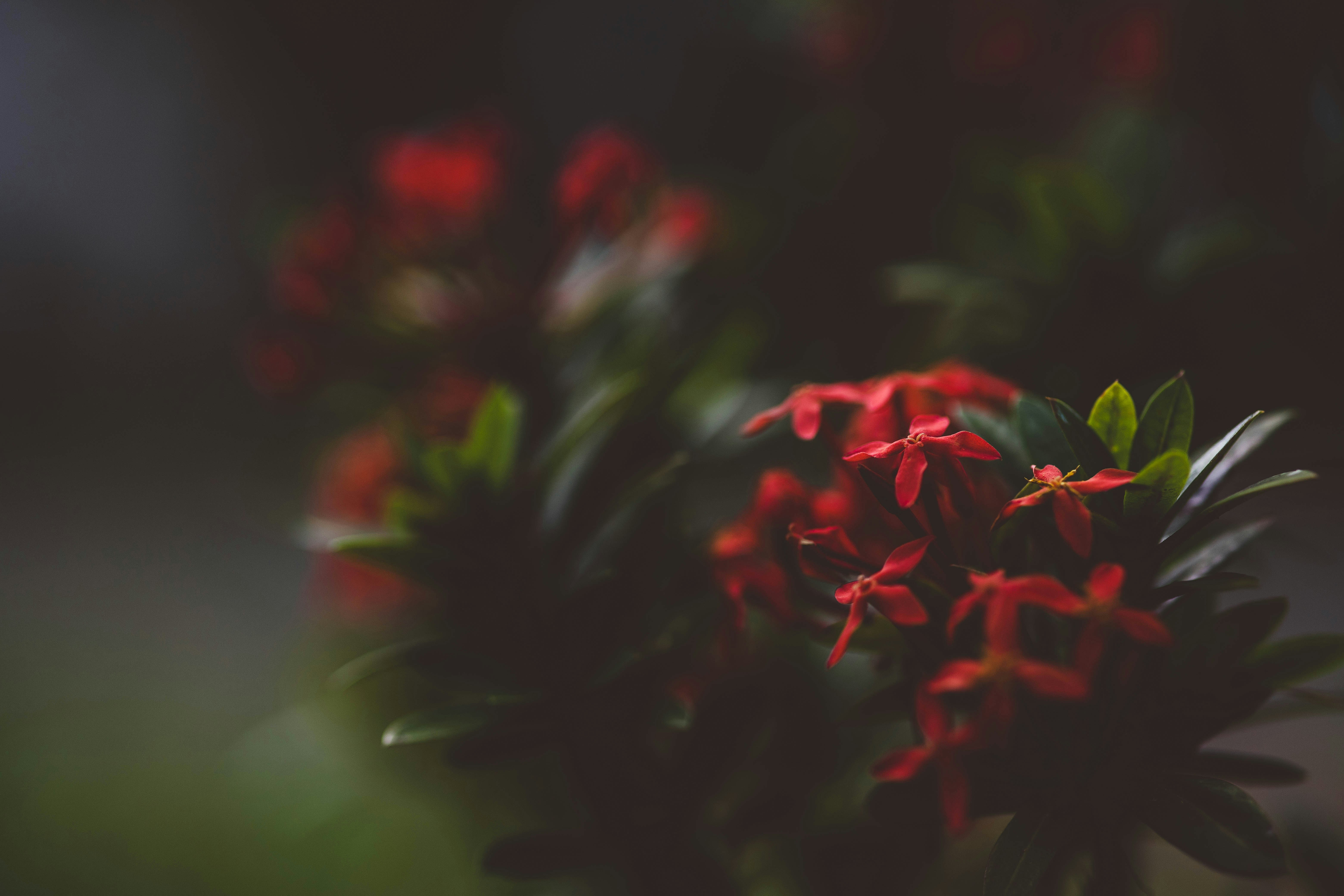 Photo by rrodriguesim