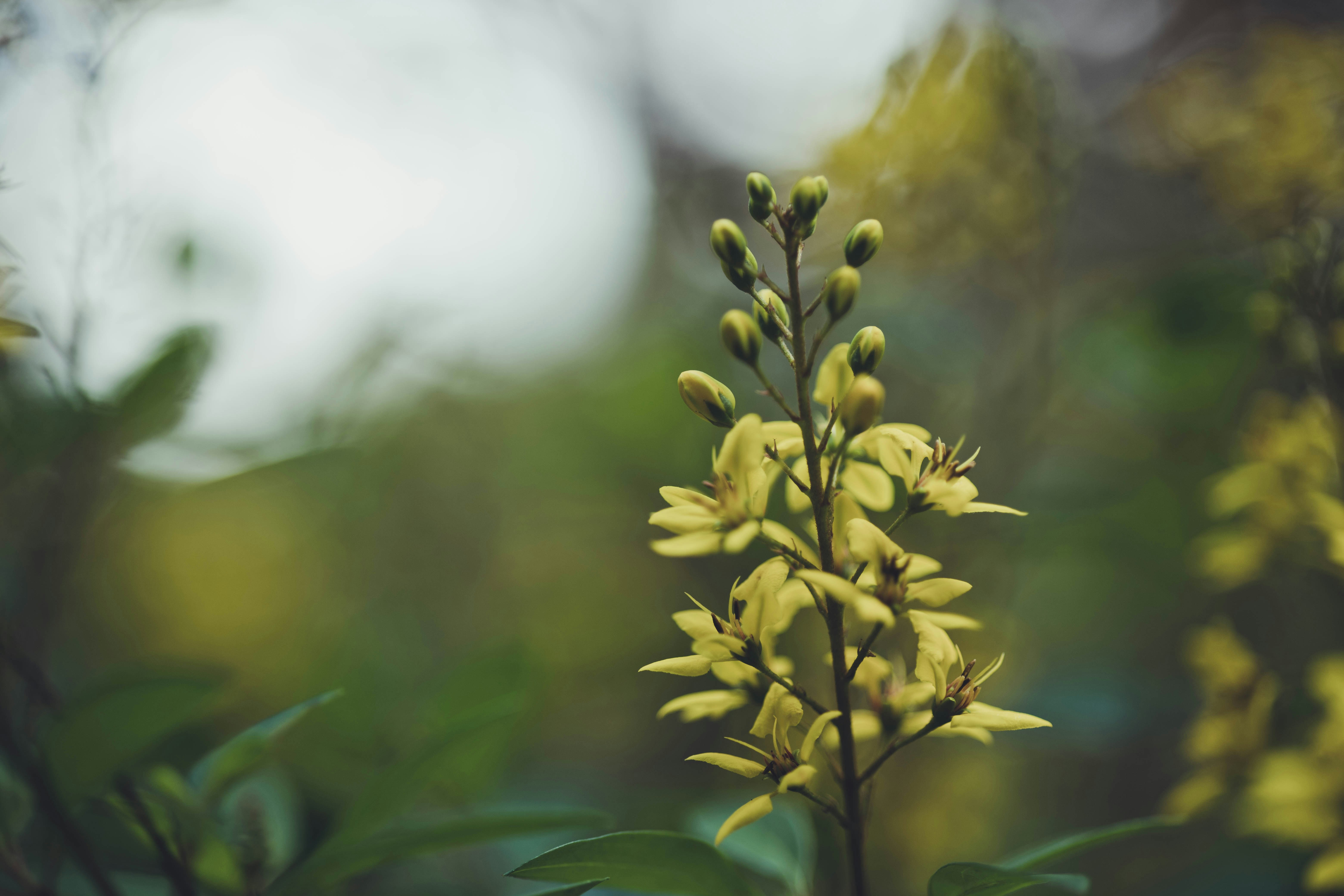 Photo by rrodriguesim