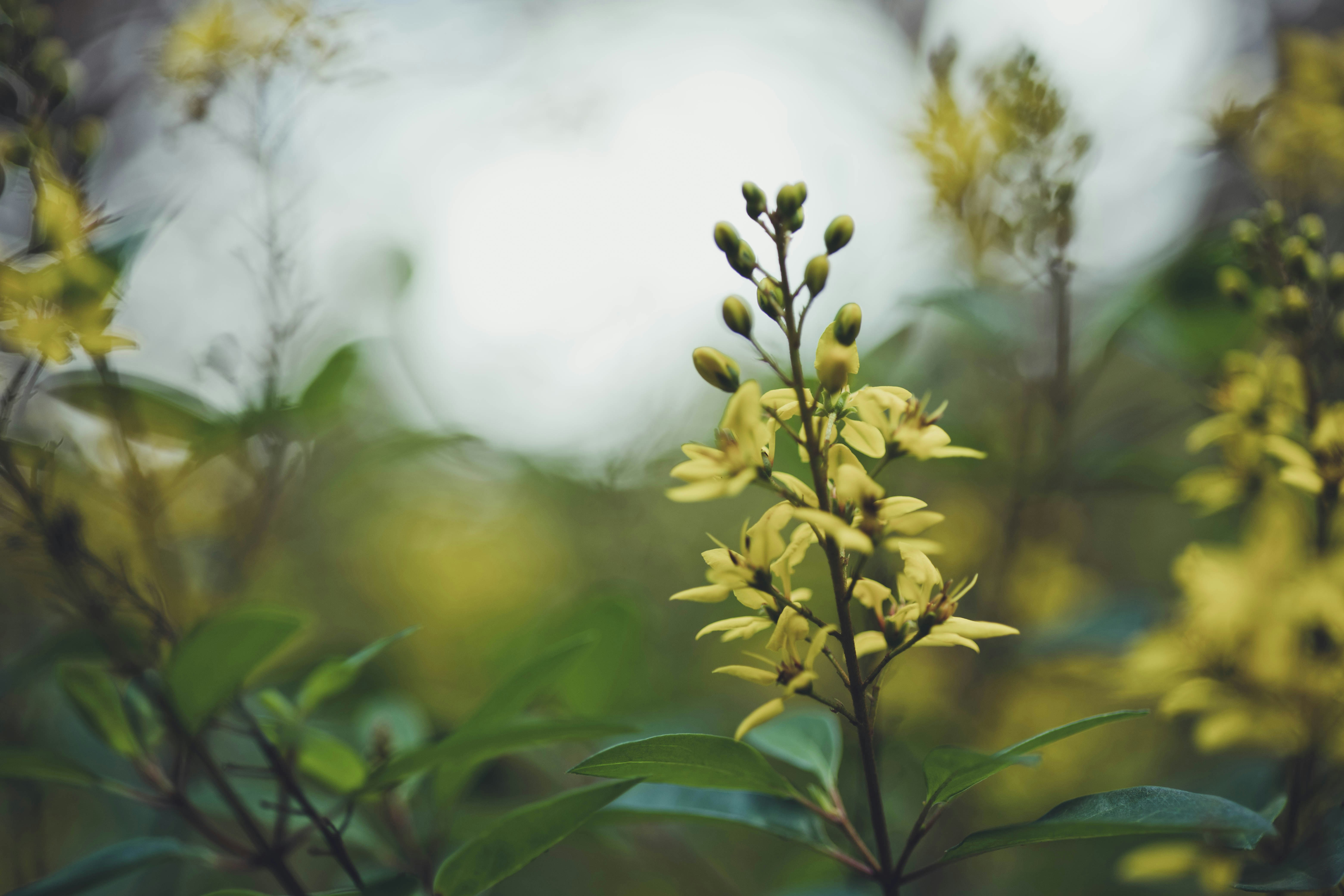 Photo by rrodriguesim