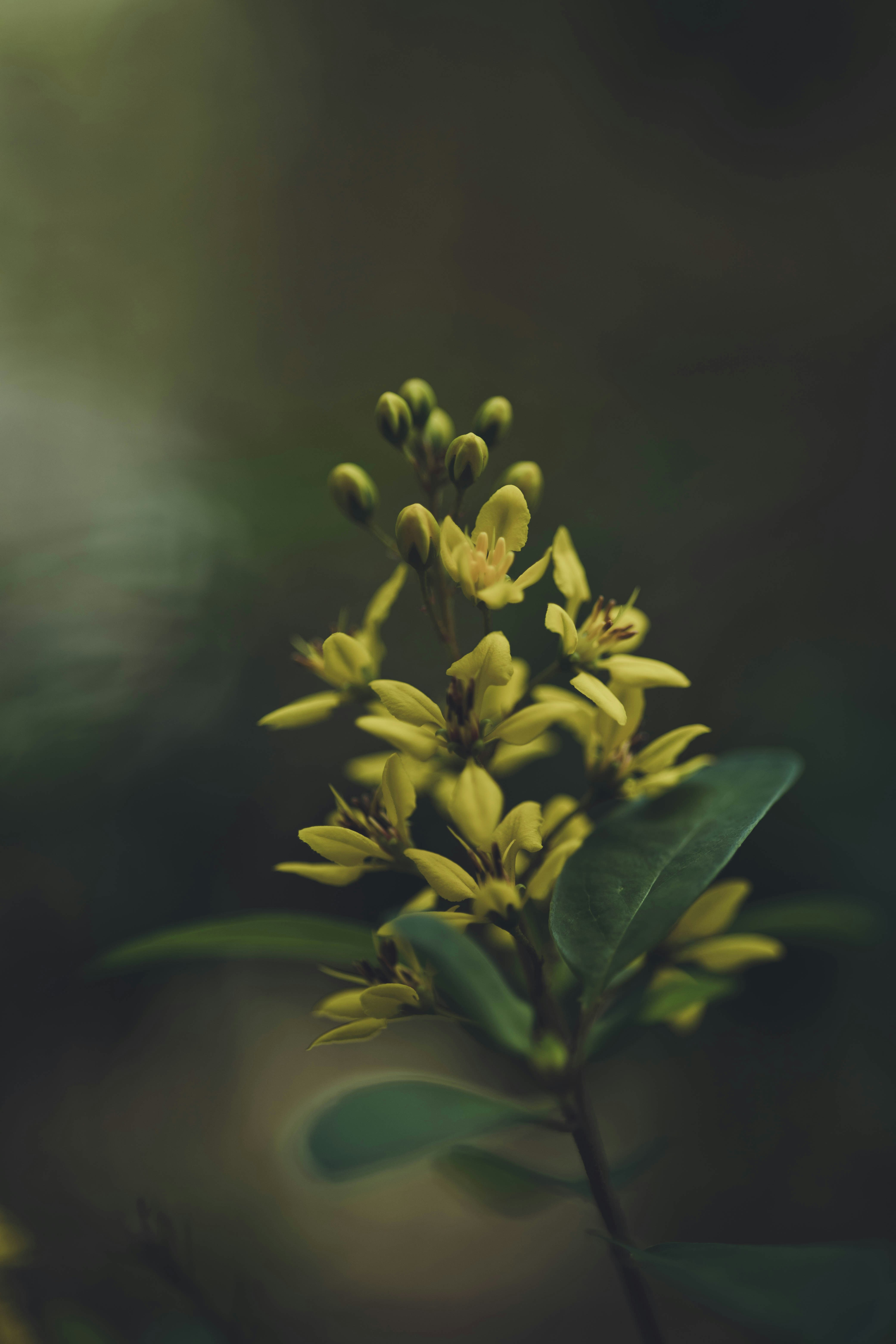 Photo by rrodriguesim