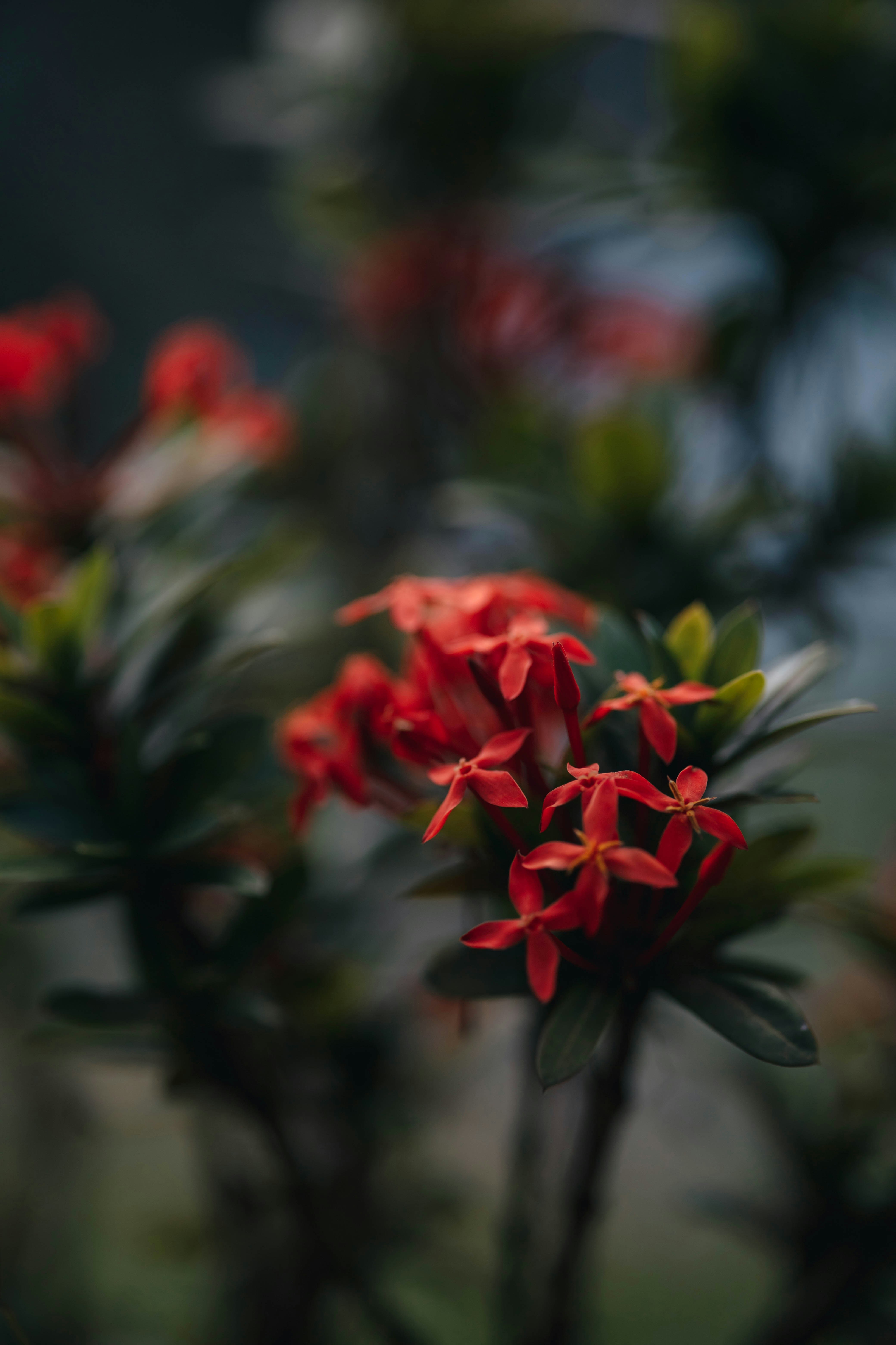 Photo by rrodriguesim