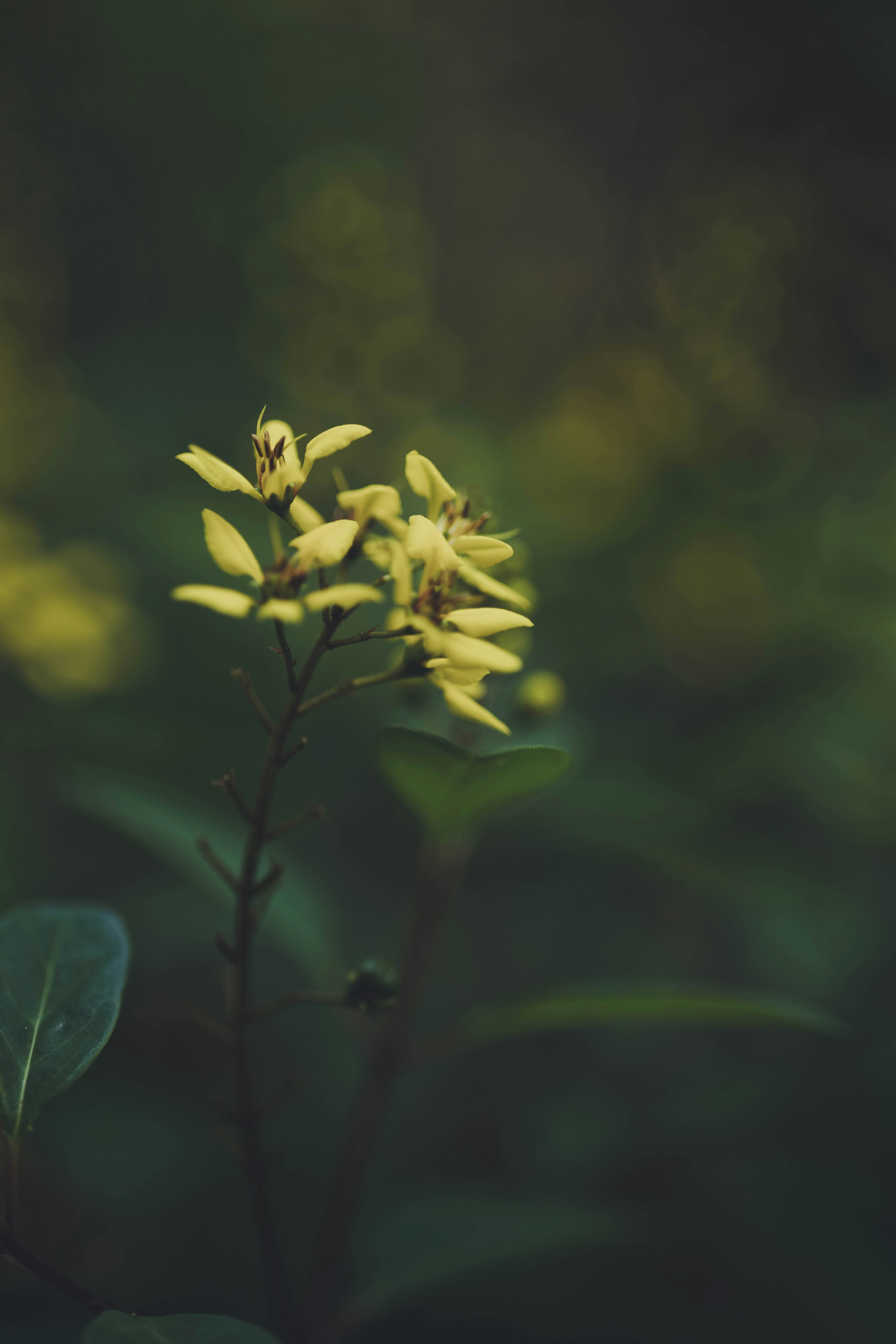 Photo by rrodriguesim