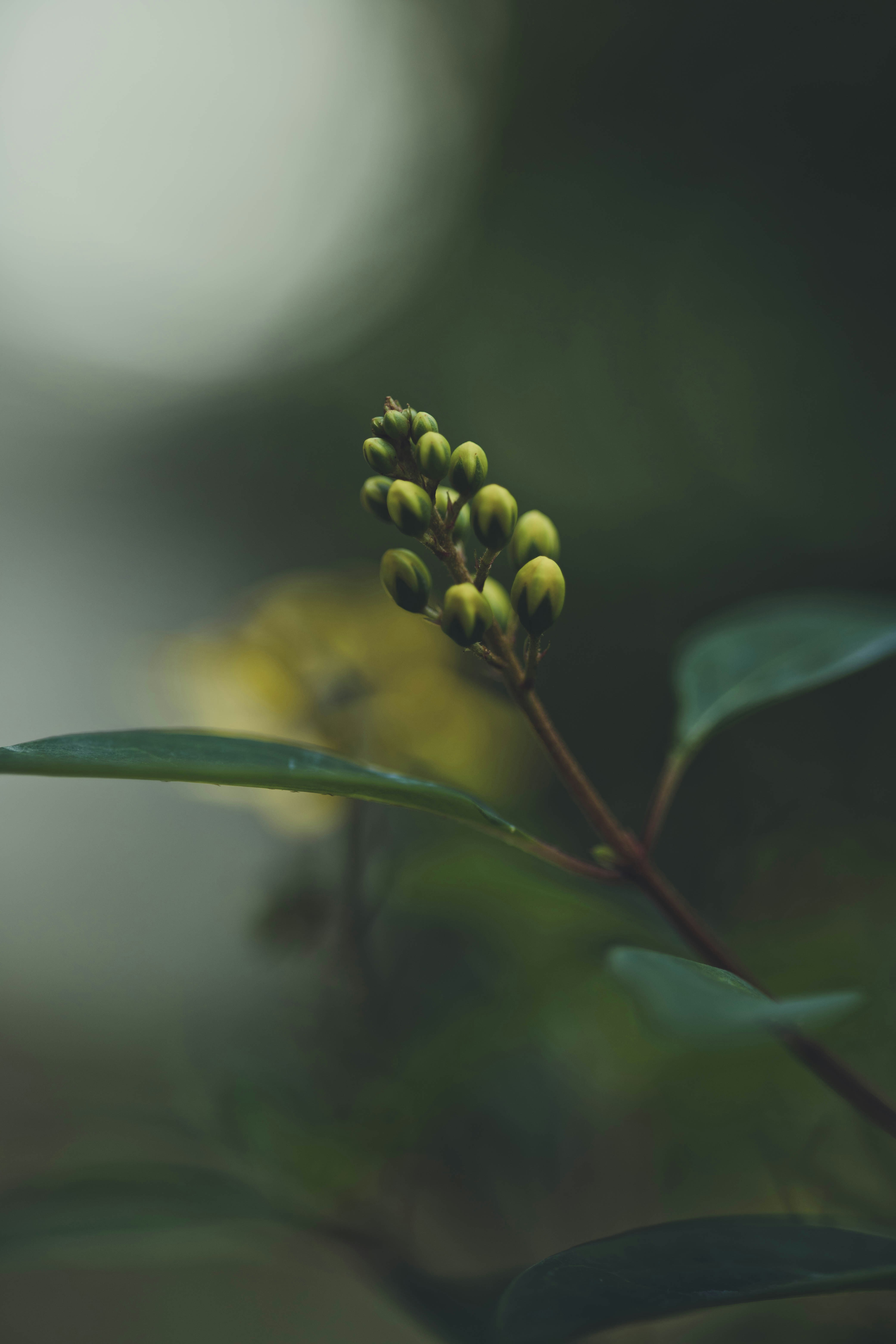 Photo by rrodriguesim