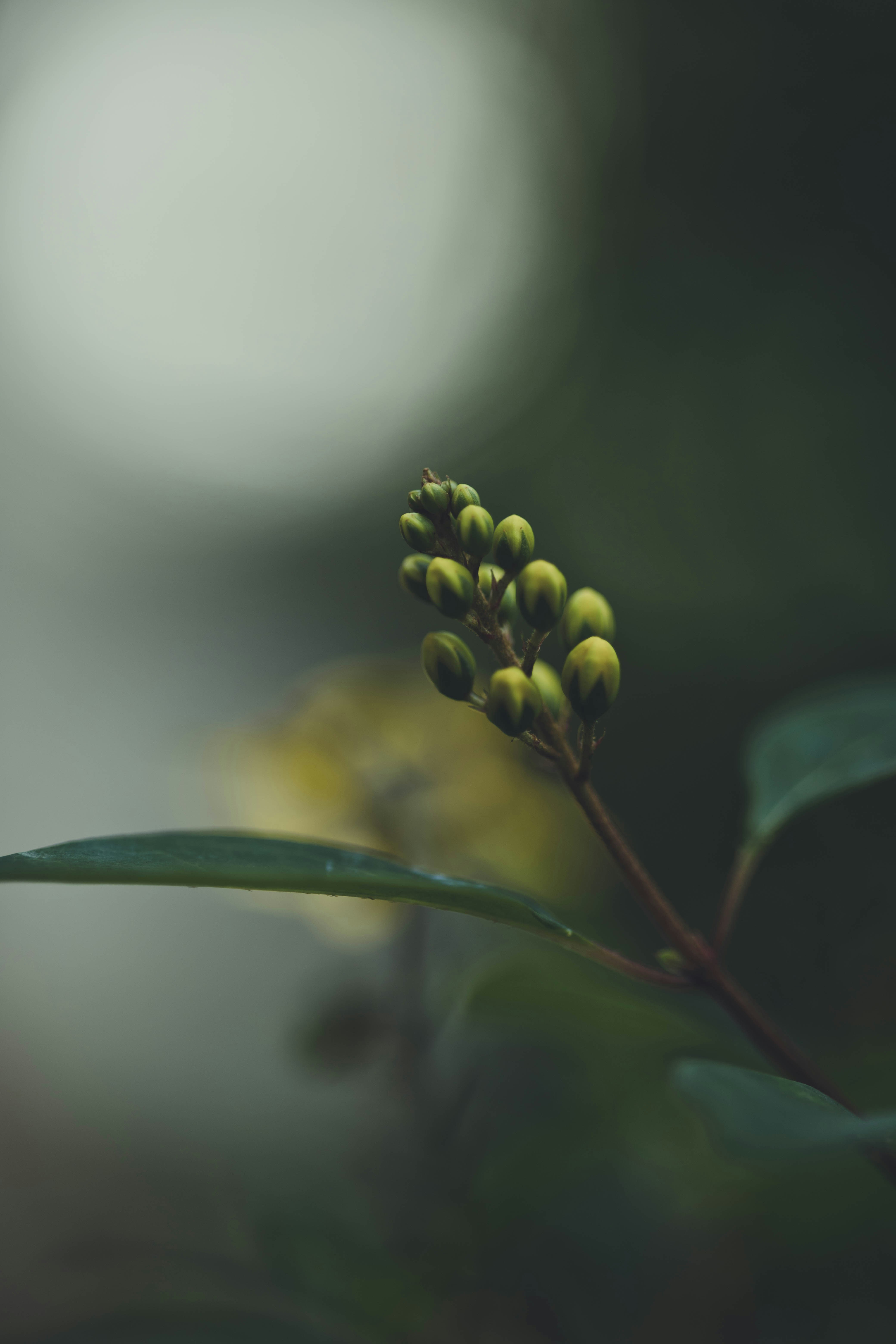 Photo by rrodriguesim