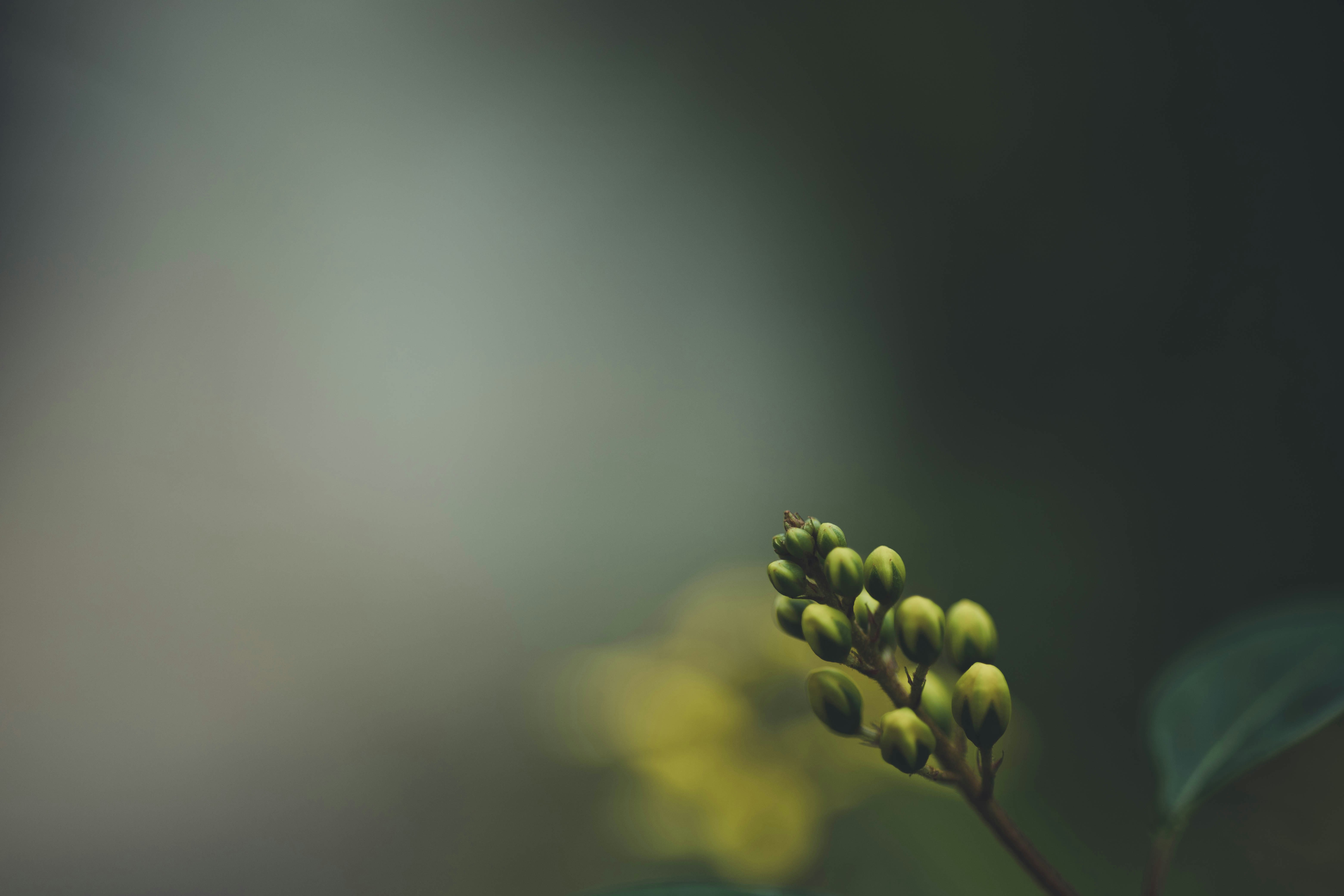 Photo by rrodriguesim