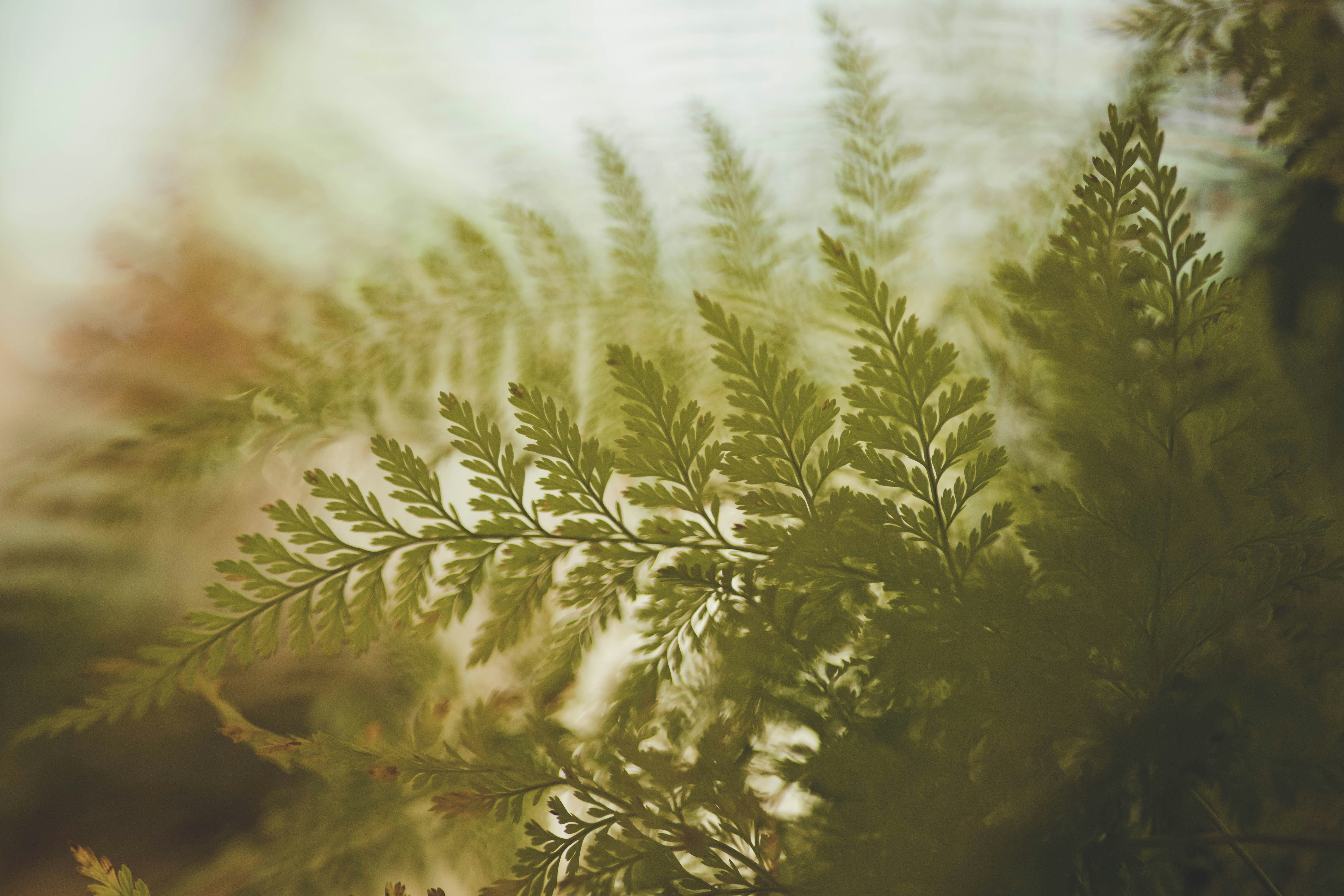 Photo by rrodriguesim