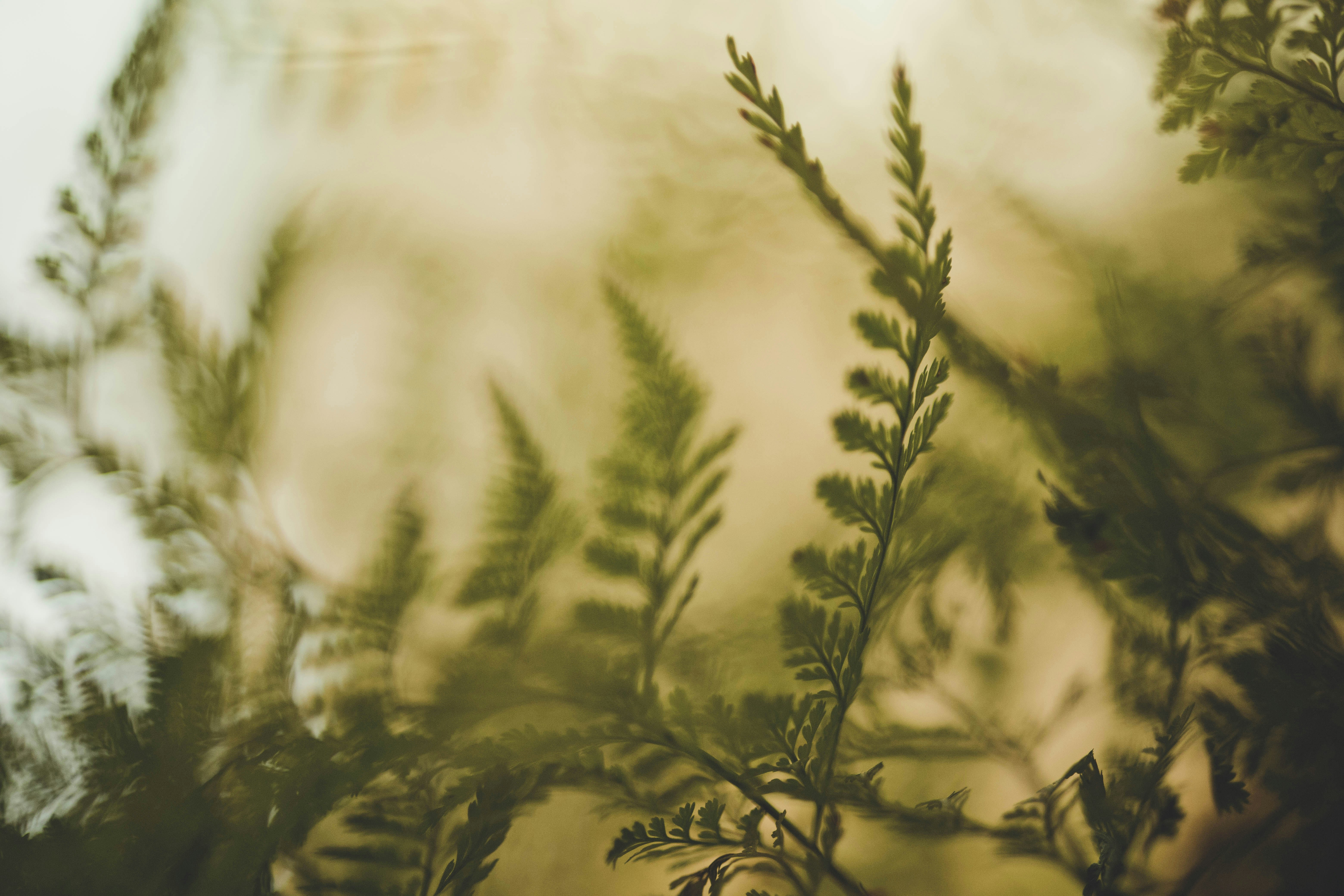 Photo by rrodriguesim