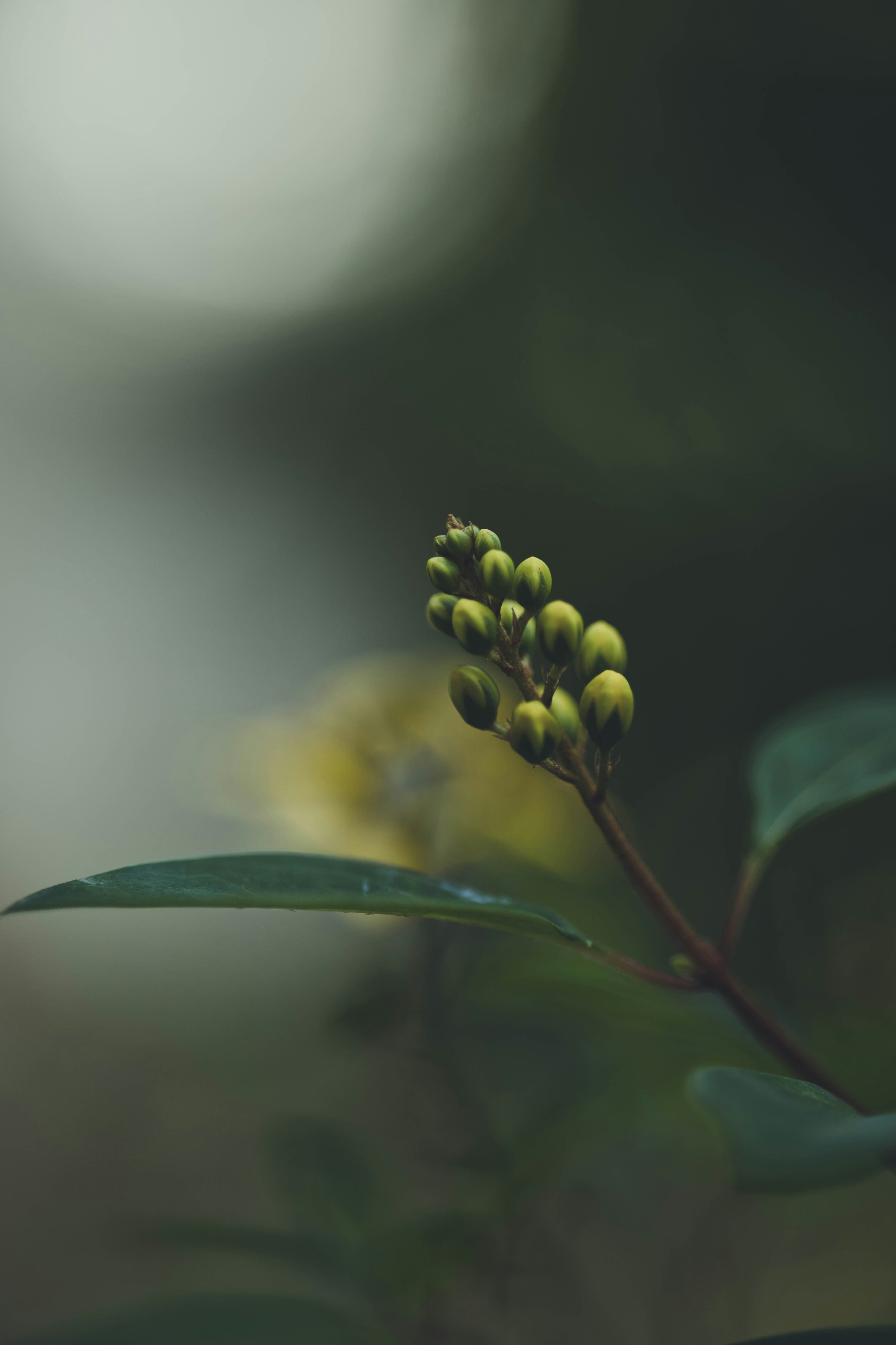 Photo by rrodriguesim