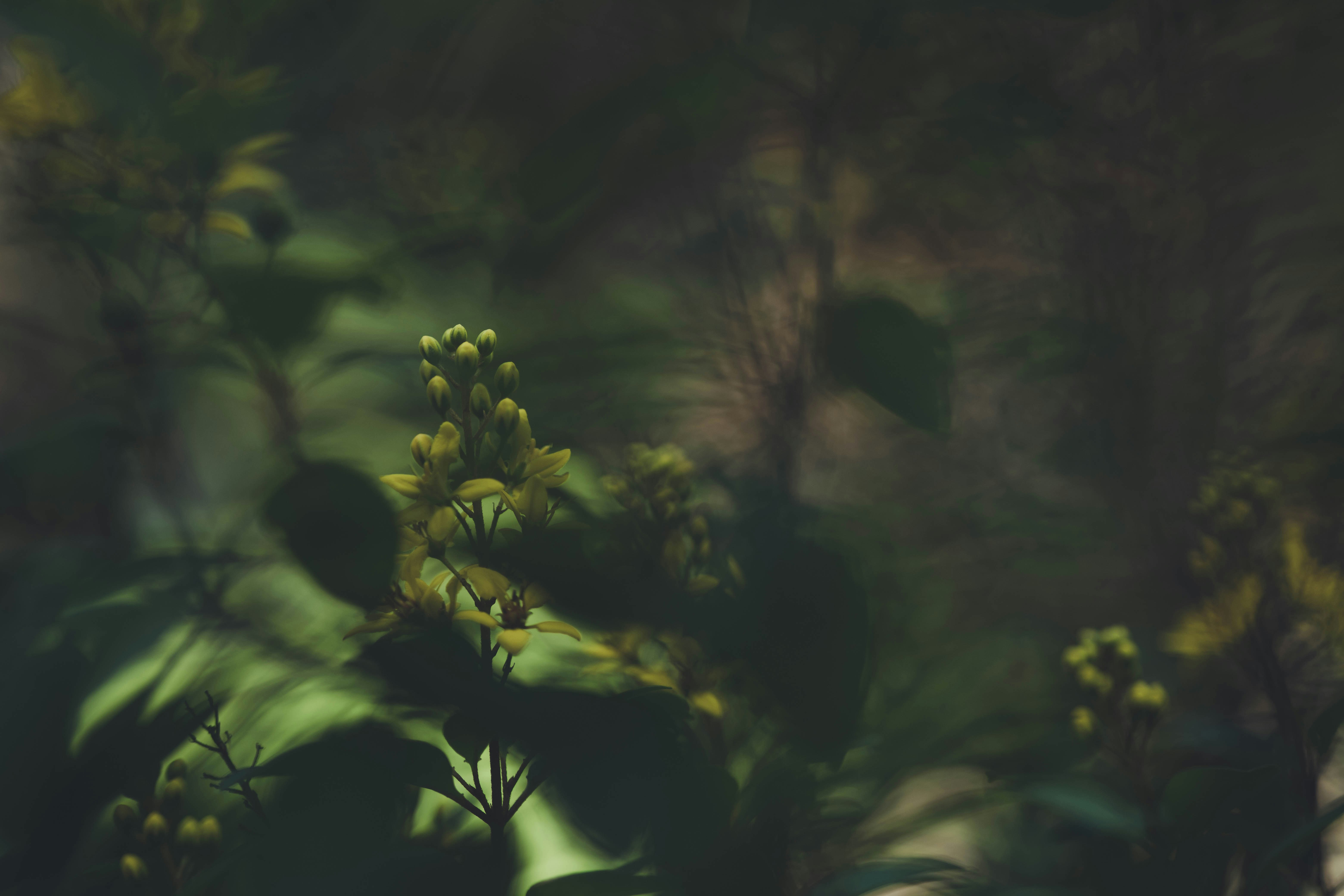 Photo by rrodriguesim