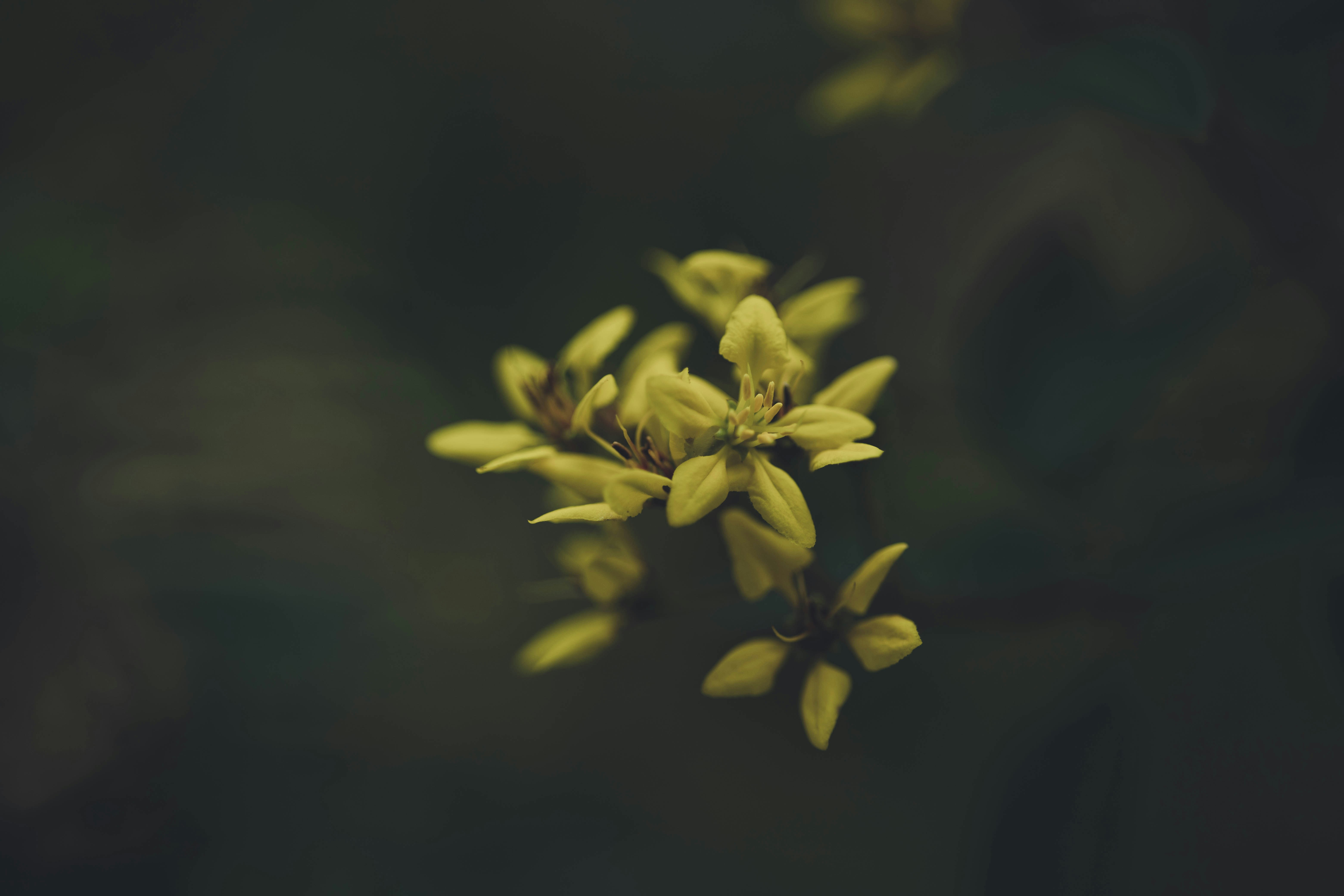 Photo by rrodriguesim