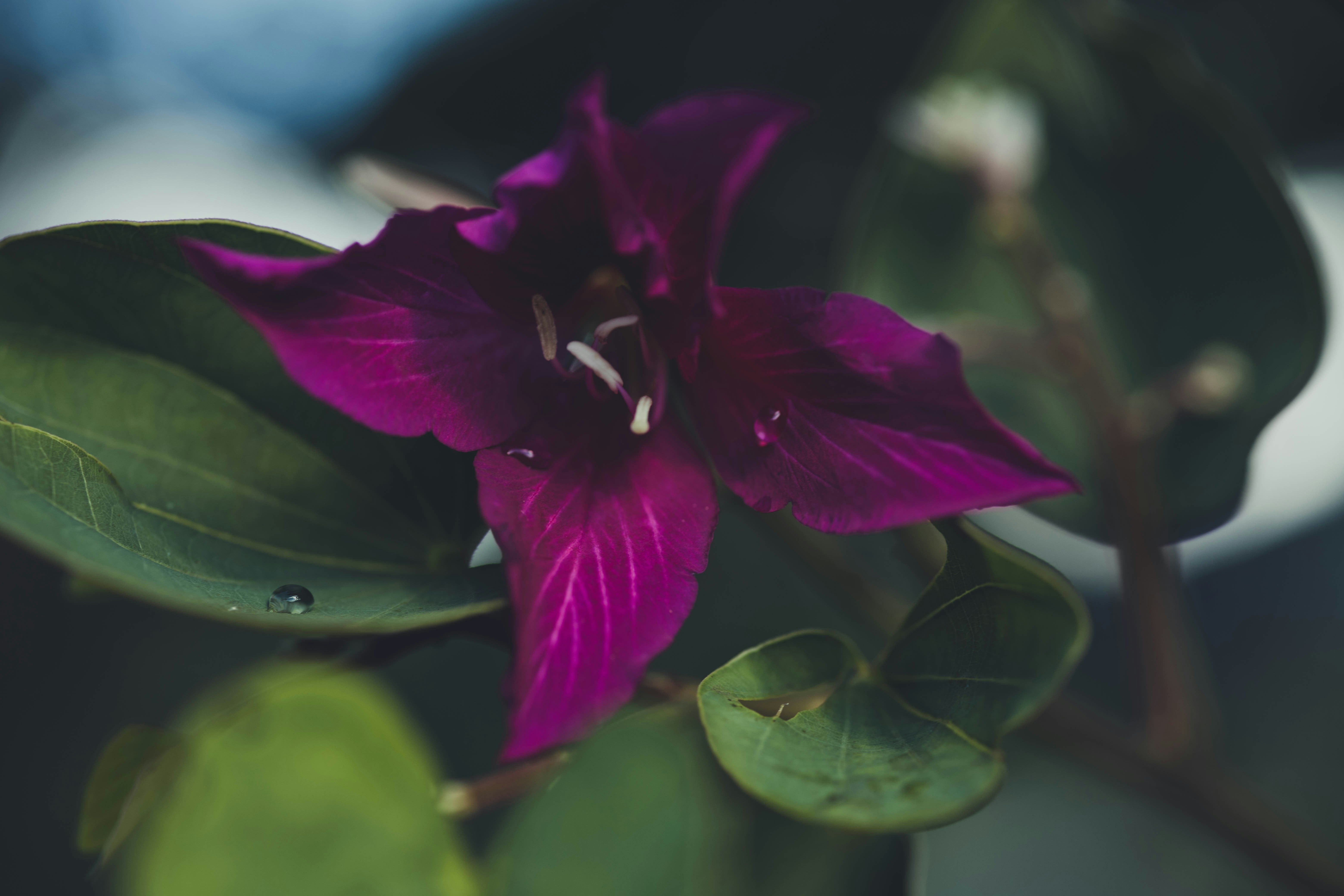 Photo by rrodriguesim