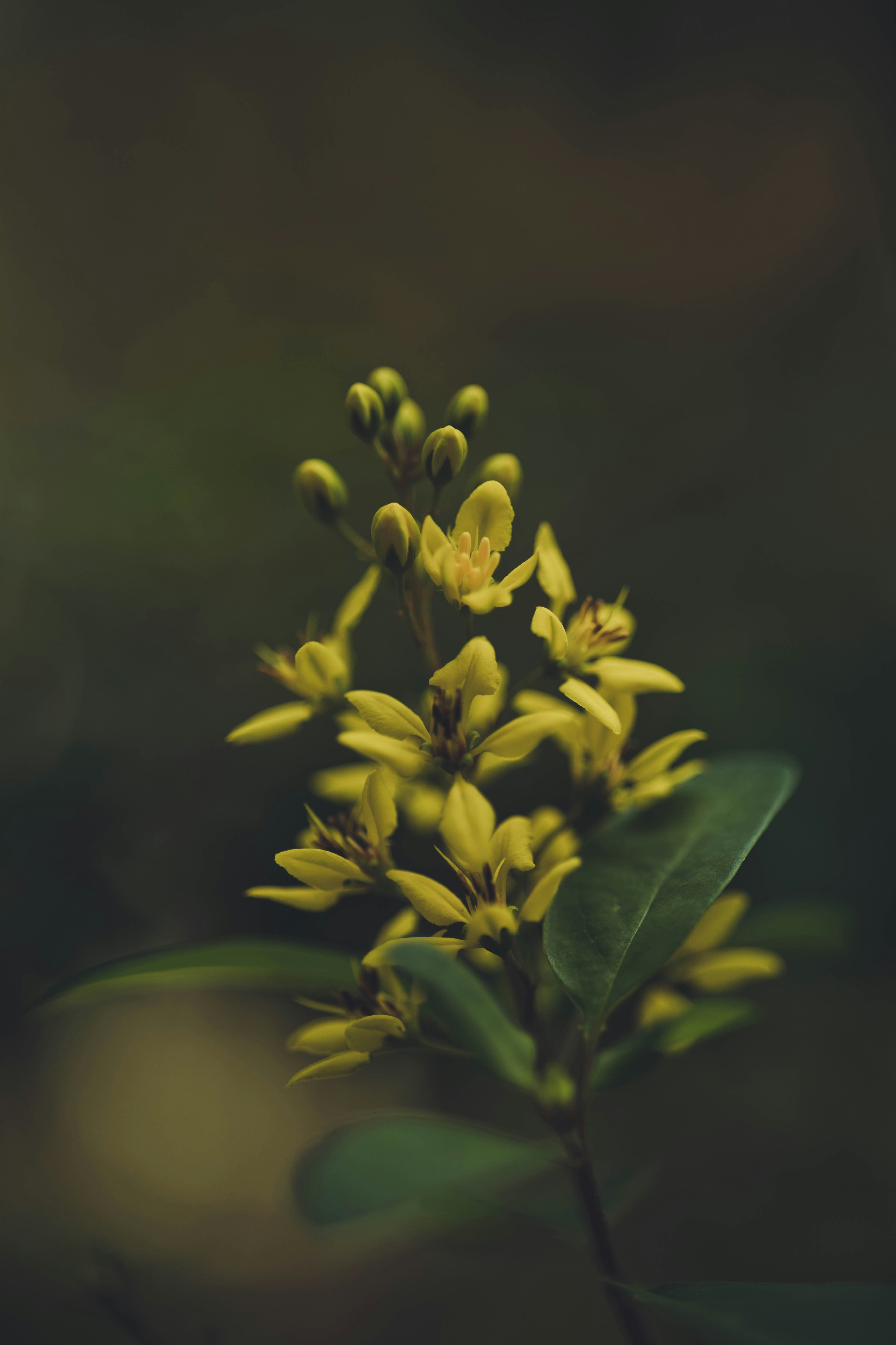 Photo by rrodriguesim