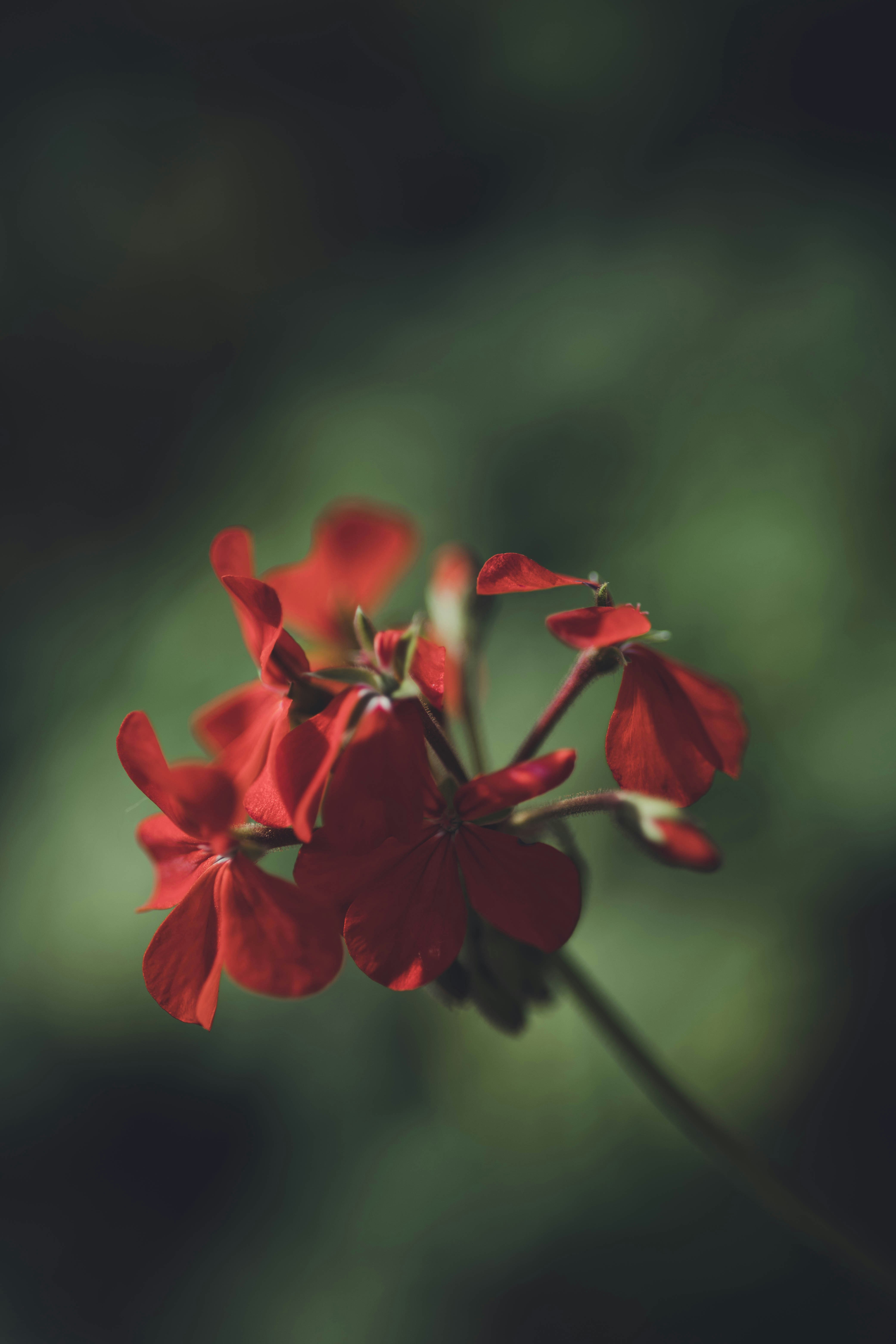 Photo by rrodriguesim